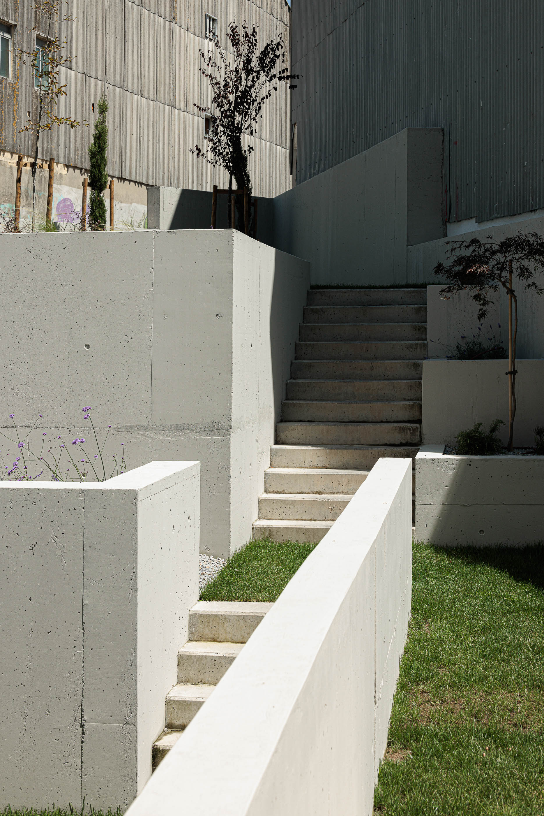 Jardim: Escadas de acesso em betão, relvado e vegetação. — Varandas de Salgueiros arquitetura Floret Arquitectura em Porto