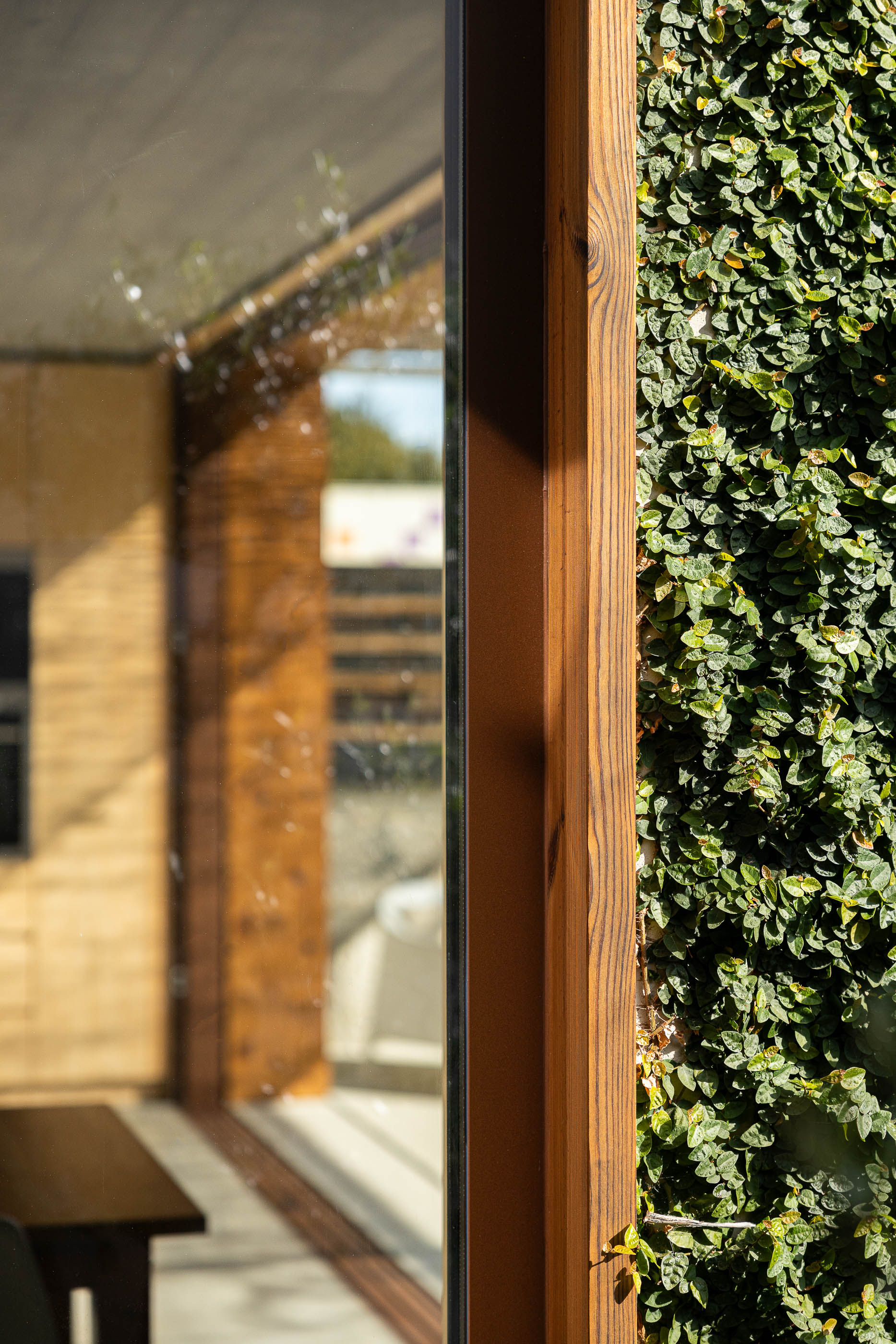 Exterior: Detalhe da fachada com janela em madeira e trepadeira verde. — Casa Fonte Velha arquitetura Martins Pimenta – Arquitetura e Construção em Matosinhos