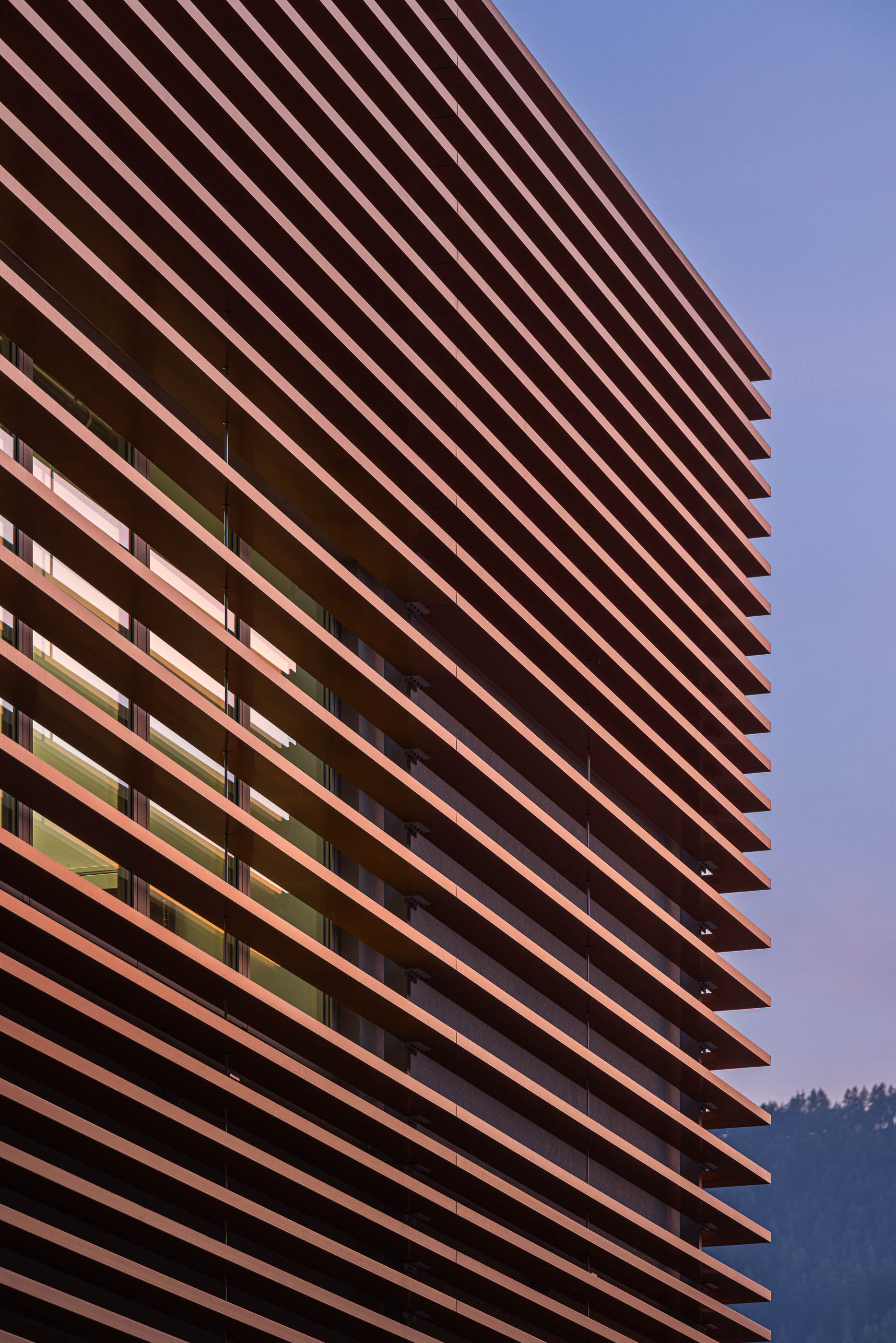 Fachada: Detalhe da fachada com ripas de madeira ao entardecer. — Unidade Industrial OROPOL arquitetura Em Paralelo em Castelo de Paiva