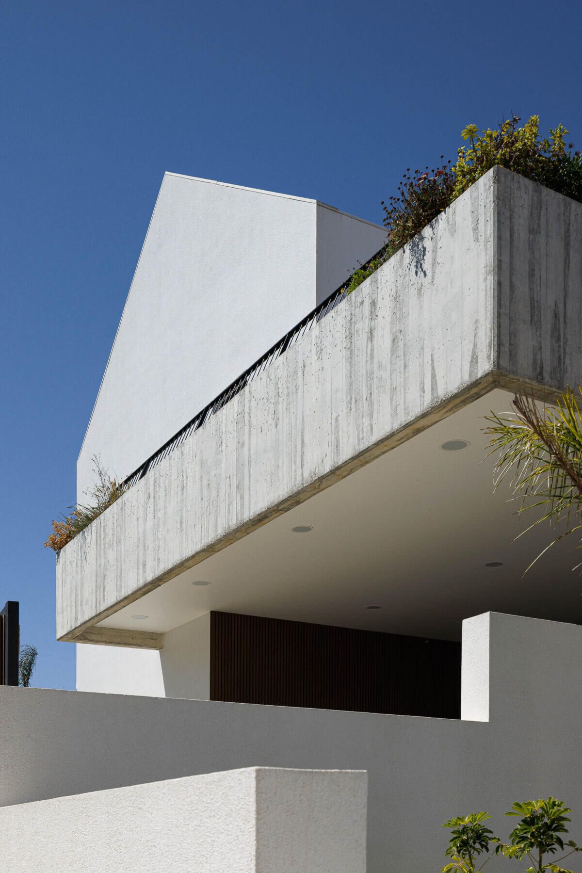 Fachada: Detalhe da varanda em betão aparente com vegetação, iluminação embutida e portão de madeira. — Casas BD arquitetura Esquissos Arquitectura em Sintra