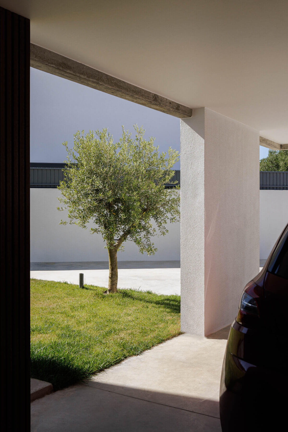 Garagem: Perspectiva da garagem coberta com oliveira e relvado. — Casas BD arquitetura Esquissos Arquitectura em Sintra
