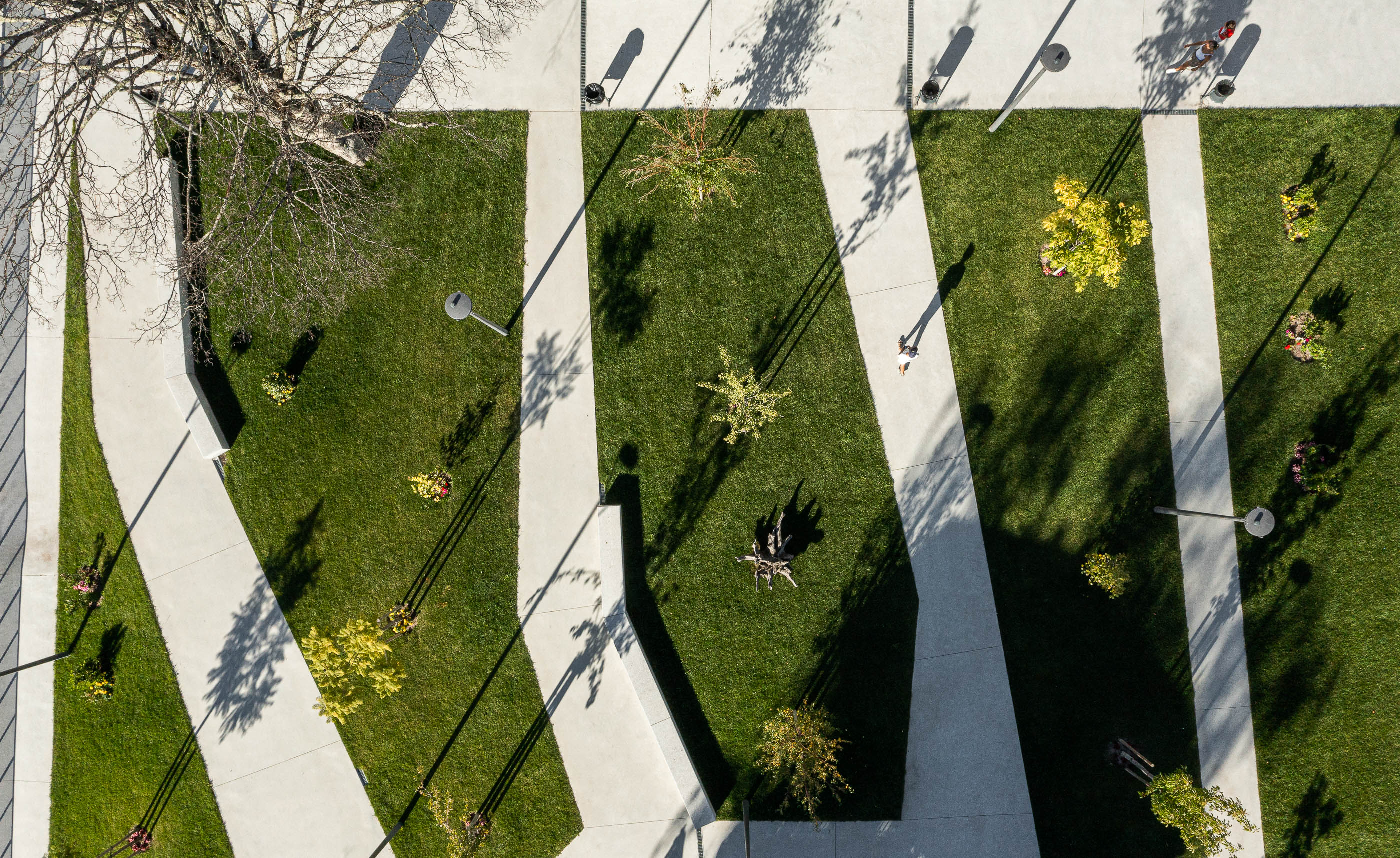 Praça: Vista aérea do relvado com caminhos em granito, árvores e candeeiros. — Requalificação da Praça do Município de Ribeira de Pena arquitetura AXR - Arquitetura e Design em Vila Real
