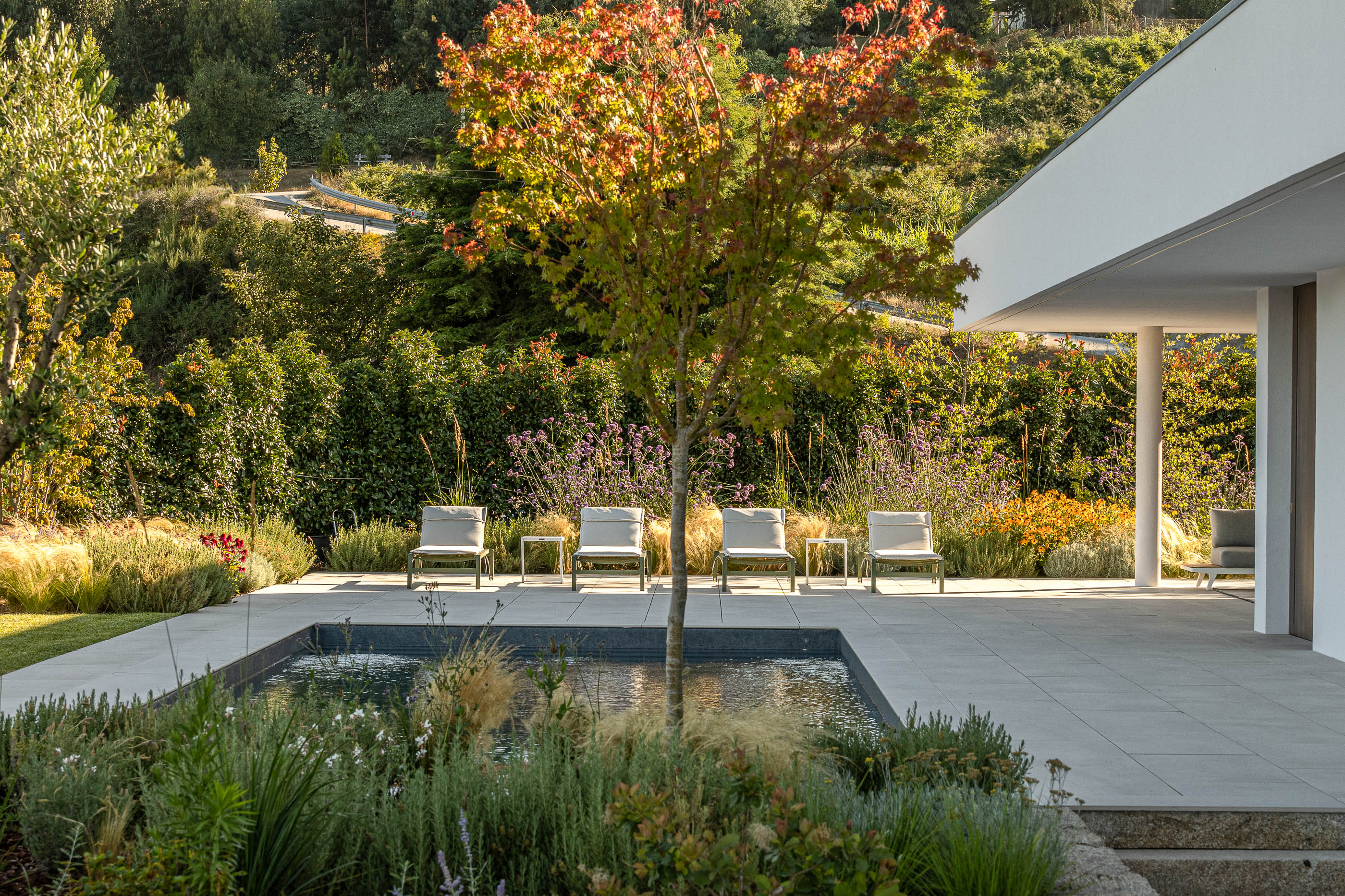 Piscina com espreguiçadeiras e jardim com vegetação diversa. — Habitação Áurea arquitetura stu.dere em Amarante