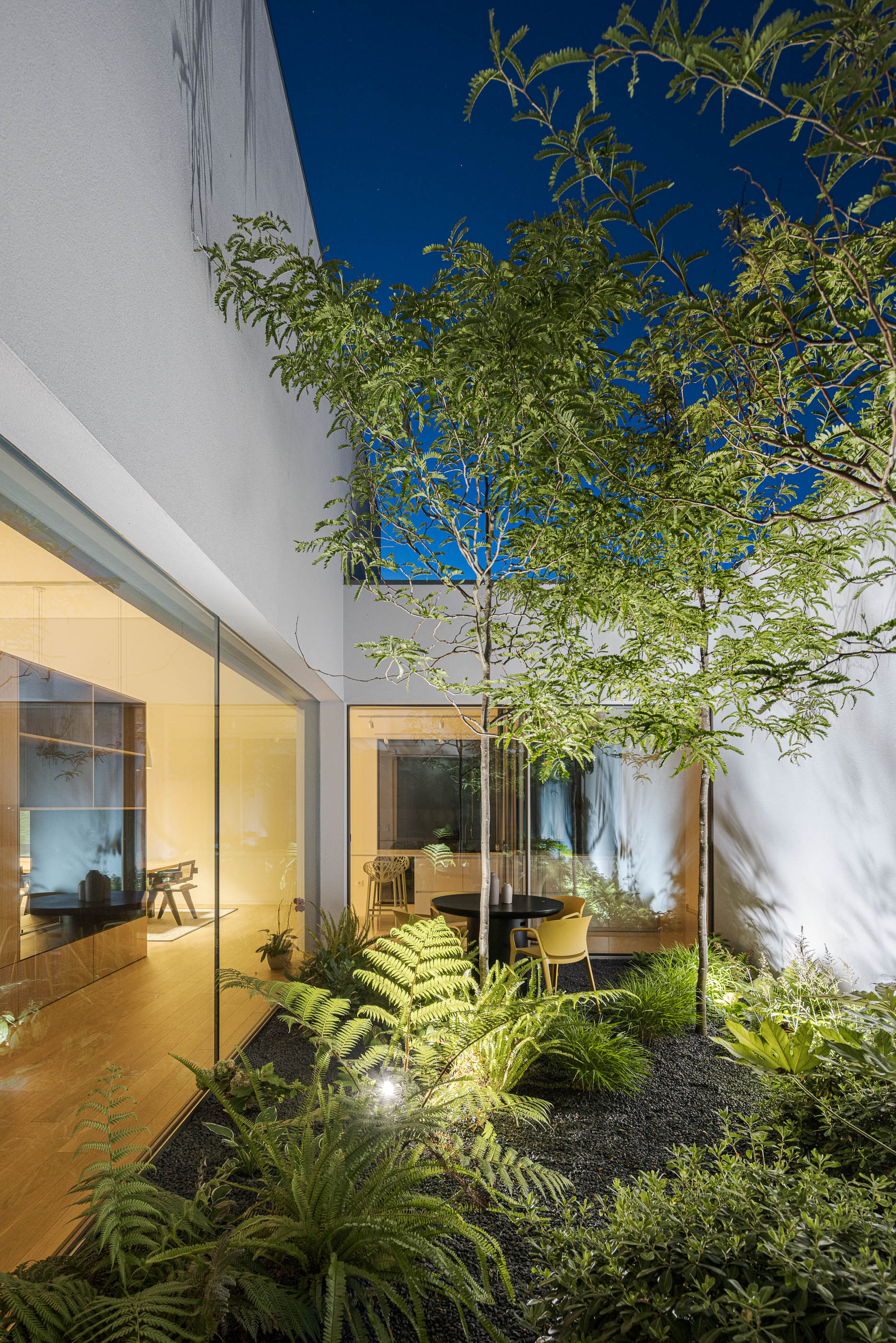 Pátio interior com vegetação exuberante e vista para a sala de estar e jantar. — Habitação Áurea arquitetura stu.dere em Amarante