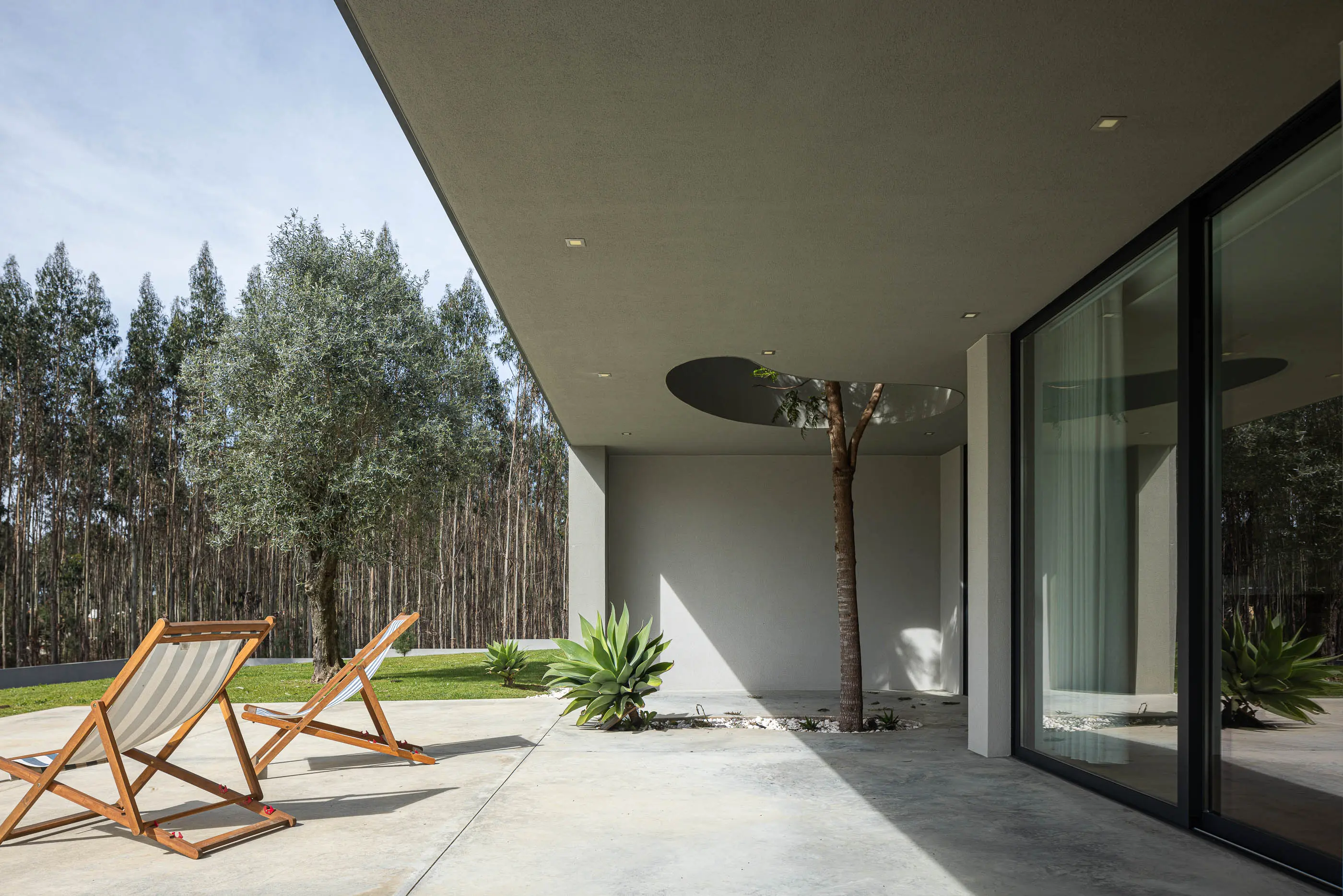 Alpendre: Zona de estar exterior com espreguiçadeiras, pavimento em betão, árvore no pátio e floresta ao fundo. — Casa Quase Verde arquitetura PSB arquitectos em Ovar