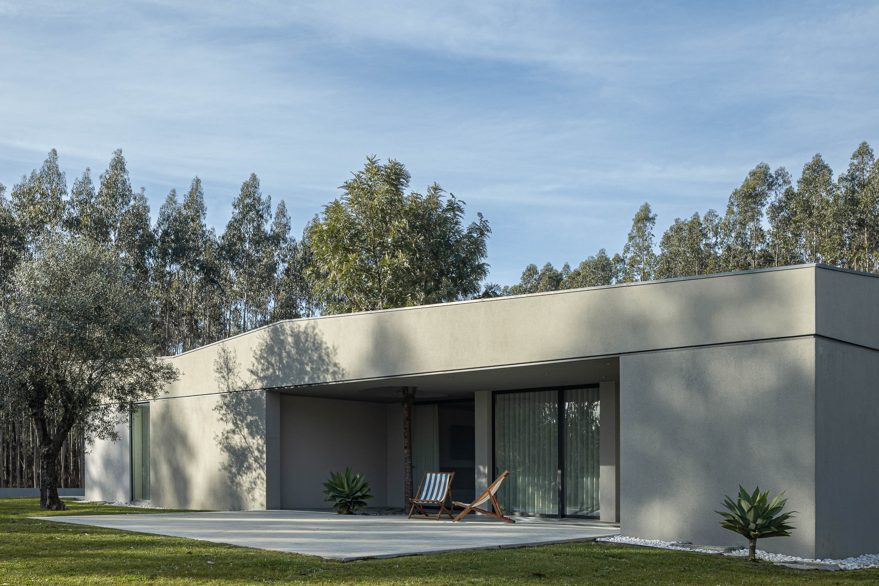 Exterior: Fachada da casa com alpendre, pátio interior com árvore e zona de estar exterior. — Casa Quase Verde arquitetura PSB arquitectos em Ovar