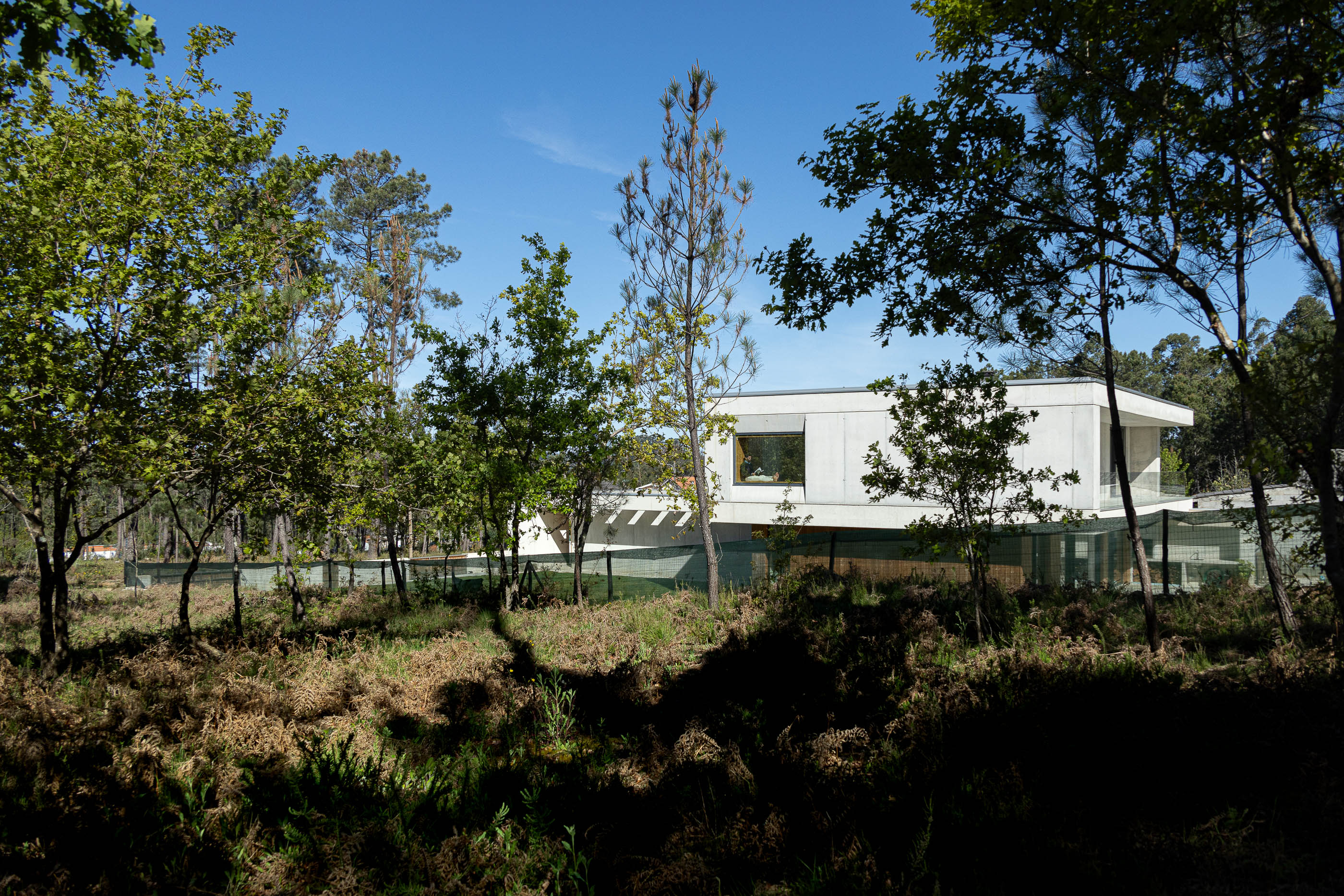 Exterior: Vista da casa moderna em betão e madeira, rodeada por árvores e vegetação. — Casa em Mundão arquitetura Um para Um, arquitectura e engenharia em Viseu