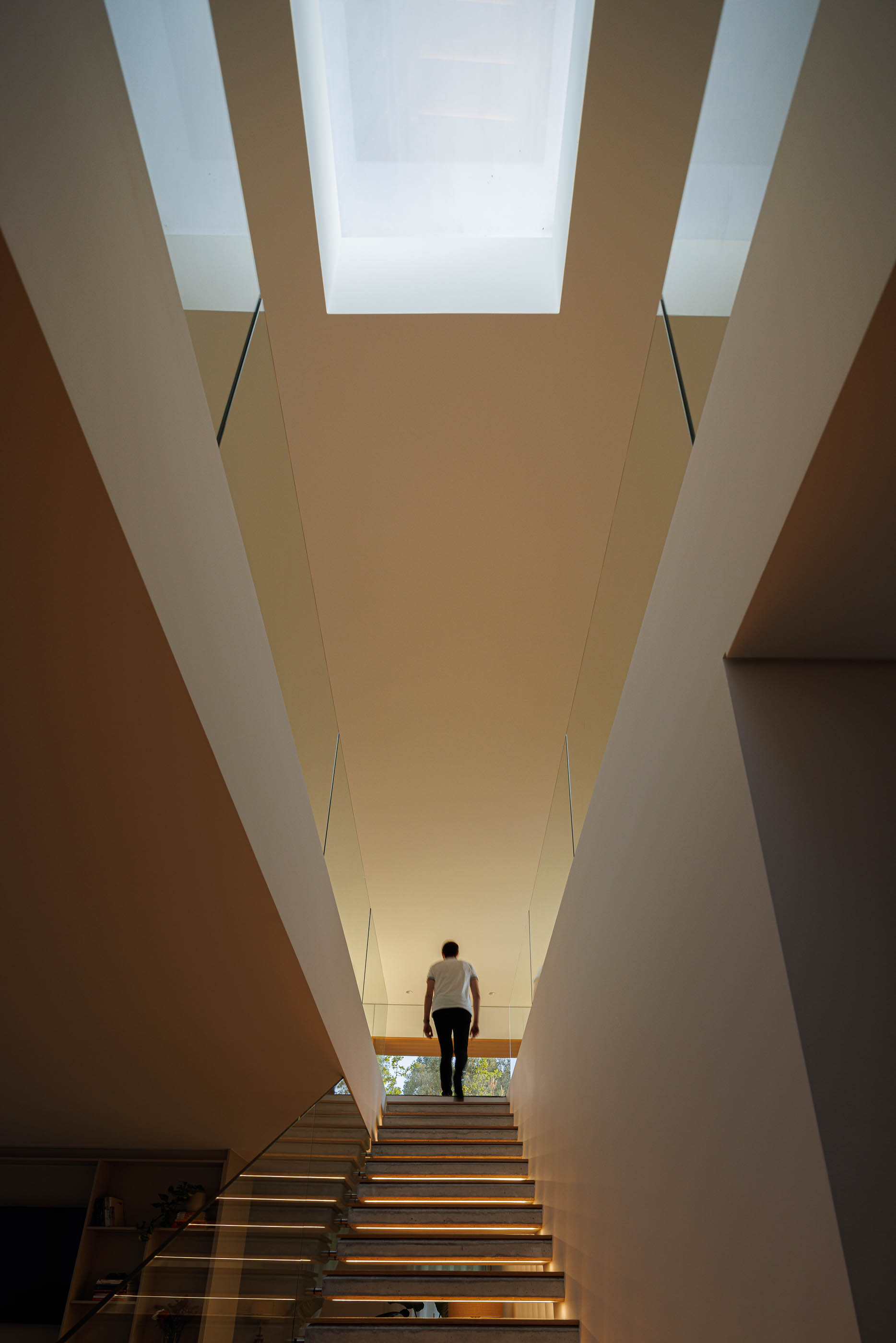 Hall: Escadas com iluminação, guarda em vidro e claraboia no teto. — Casa em Mundão arquitetura Um para Um, arquitectura e engenharia em Viseu