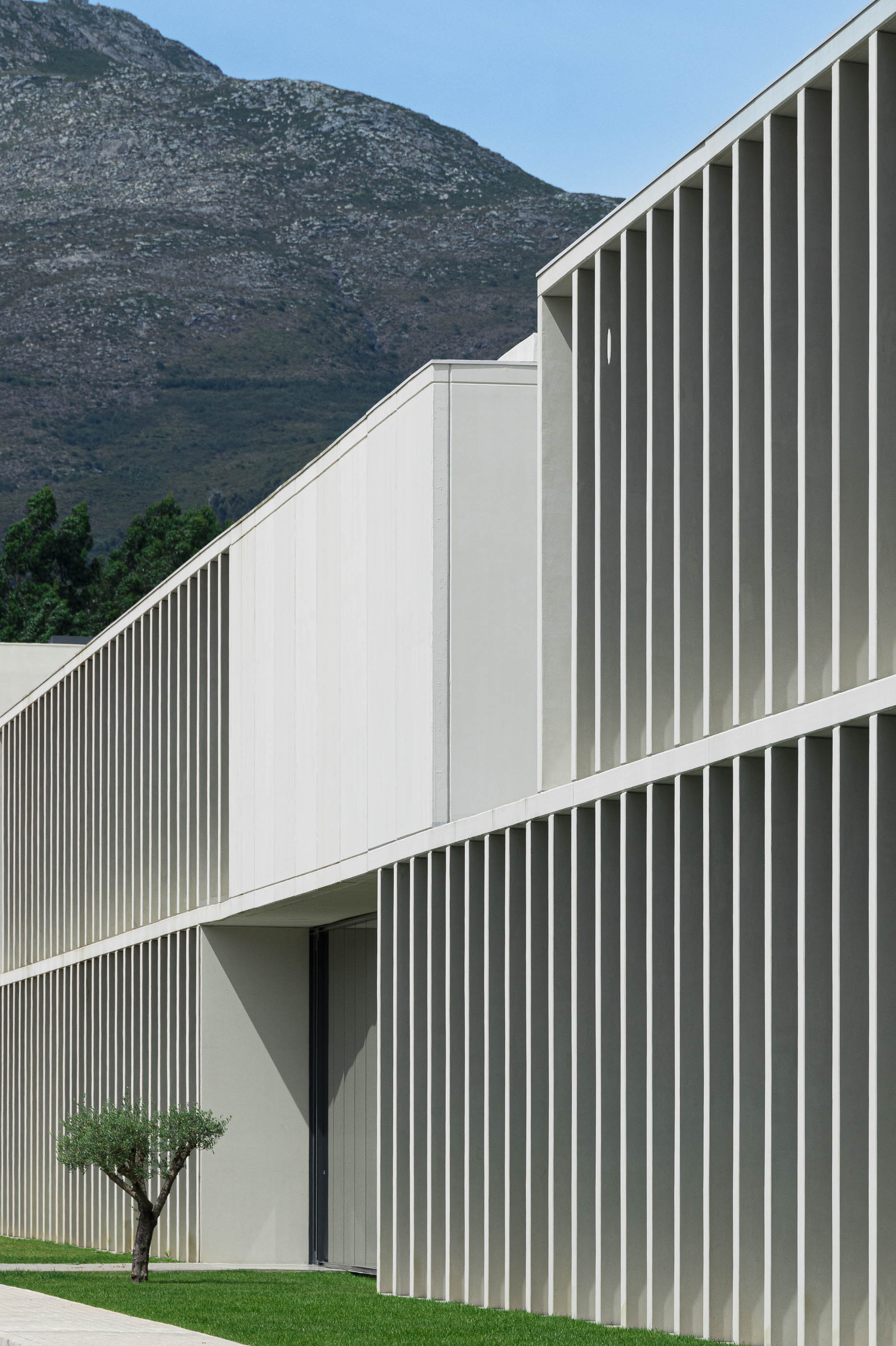 Exterior: Vista lateral do edifício com colunas verticais em betão e vegetação circundante. — BW II – Edifício Industrial em Viana do Castelo arquitetura Multiprojectus em Viana do Castelo