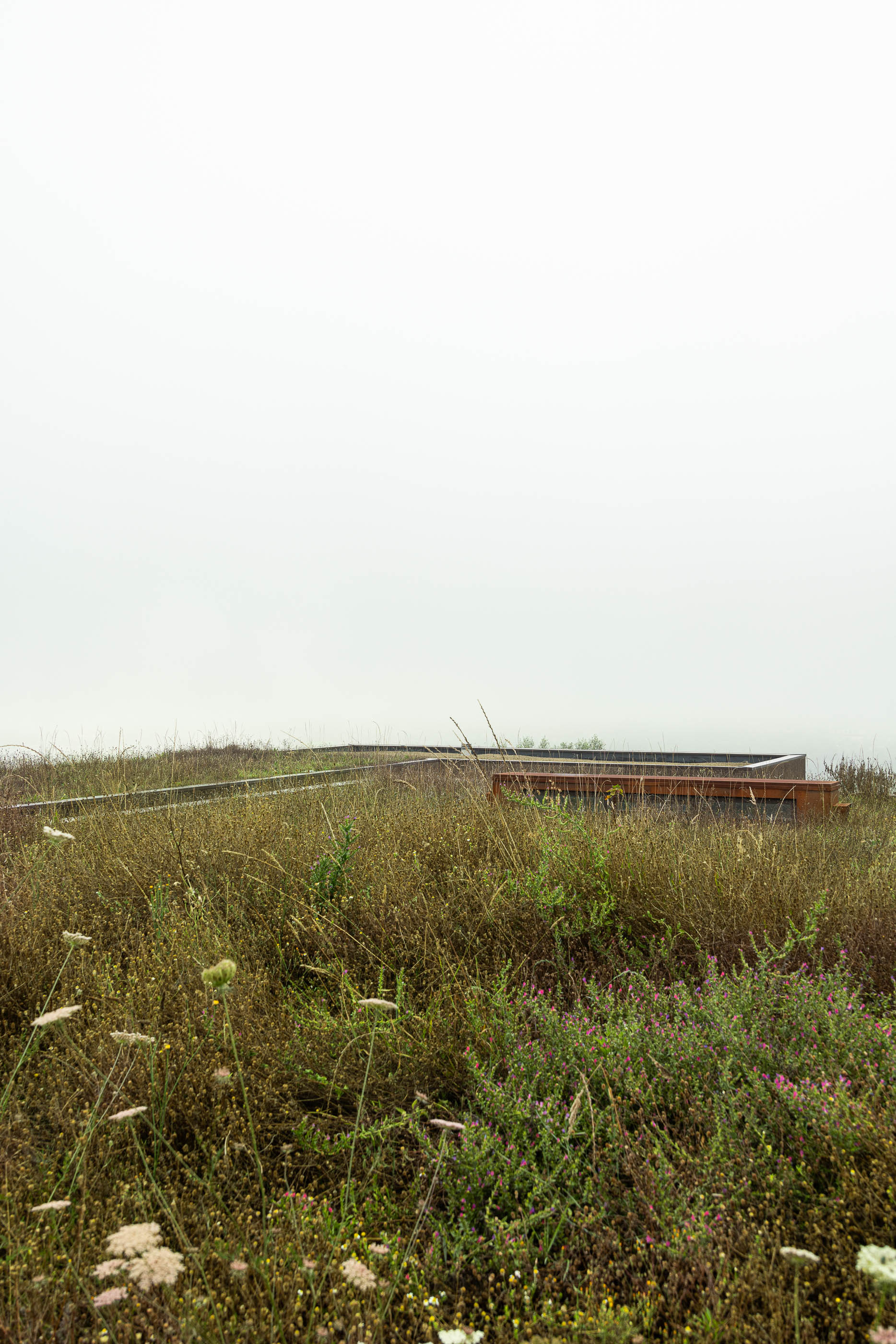 Paisagem: Vista da casa camuflada na vegetação, com passadiço de acesso em madeira. Arquitetura minimalista. — Casa da Levada arquitetura Tsou Arquitectos em Penafiel