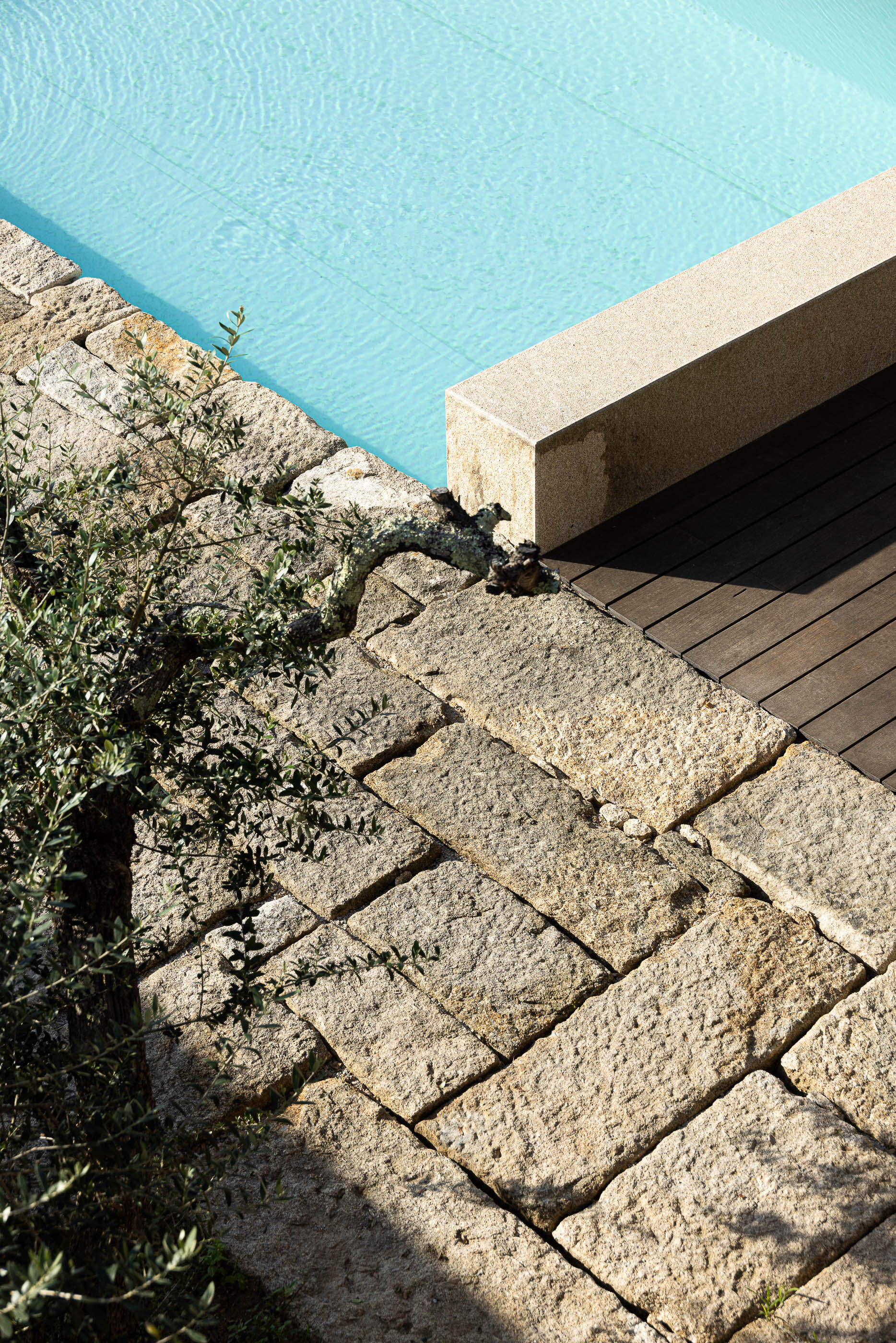 Exterior: Detalhe da piscina com borda em pedra, deck de madeira e vegetação. — Casa da Levada arquitetura Tsou Arquitectos em Penafiel