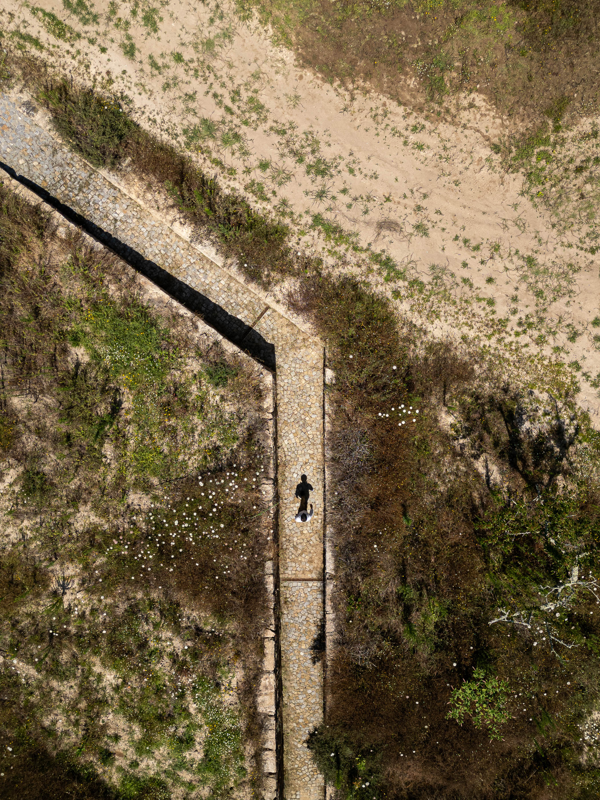 Exterior: Vista aérea do passadiço de acesso à casa, ladeado por vegetação rústica. — Casa da Levada arquitetura Tsou Arquitectos em Penafiel