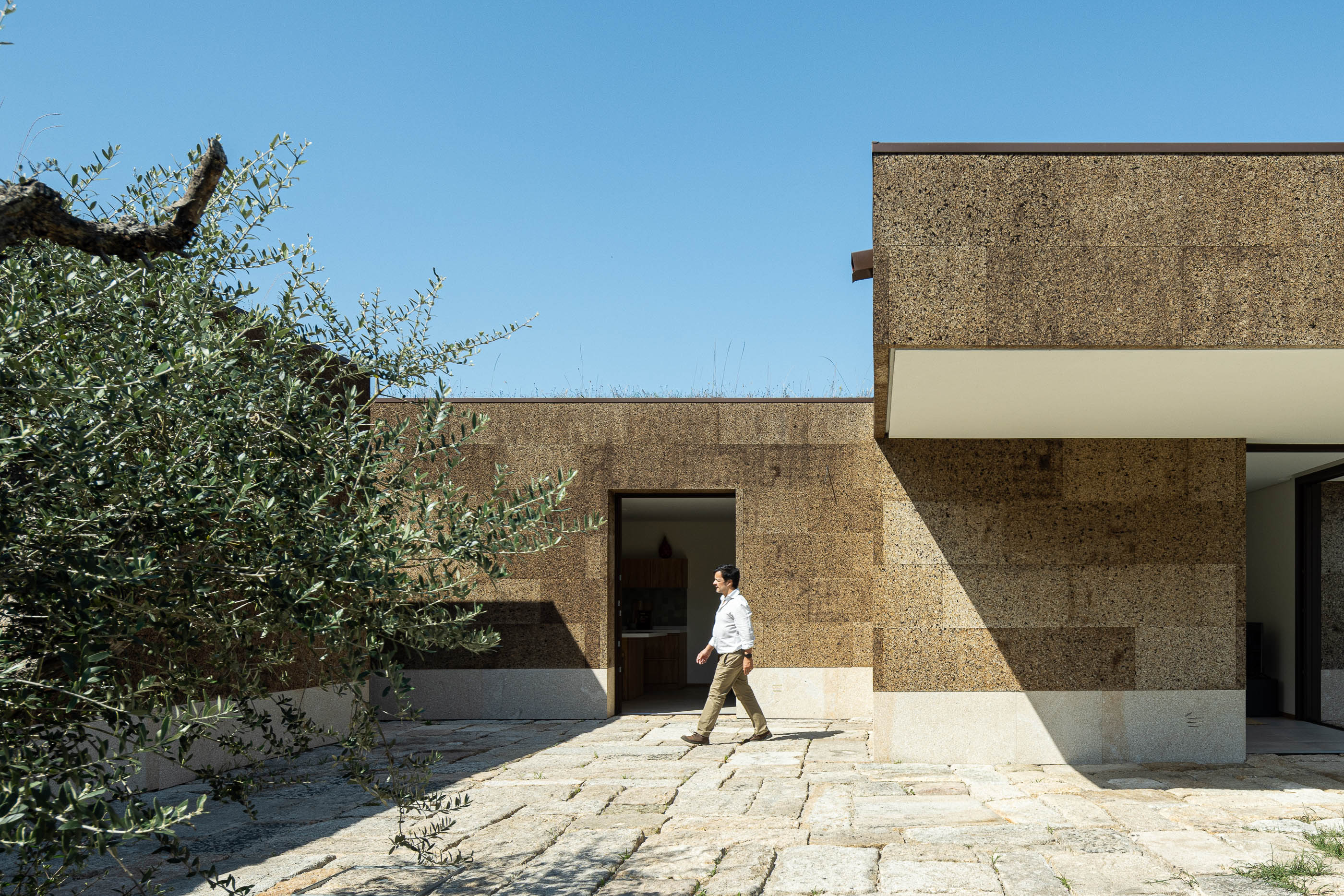 Exterior: Pátio com oliveira, pavimento em pedra e fachada revestida em cortiça. — Casa da Levada arquitetura Tsou Arquitectos em Penafiel