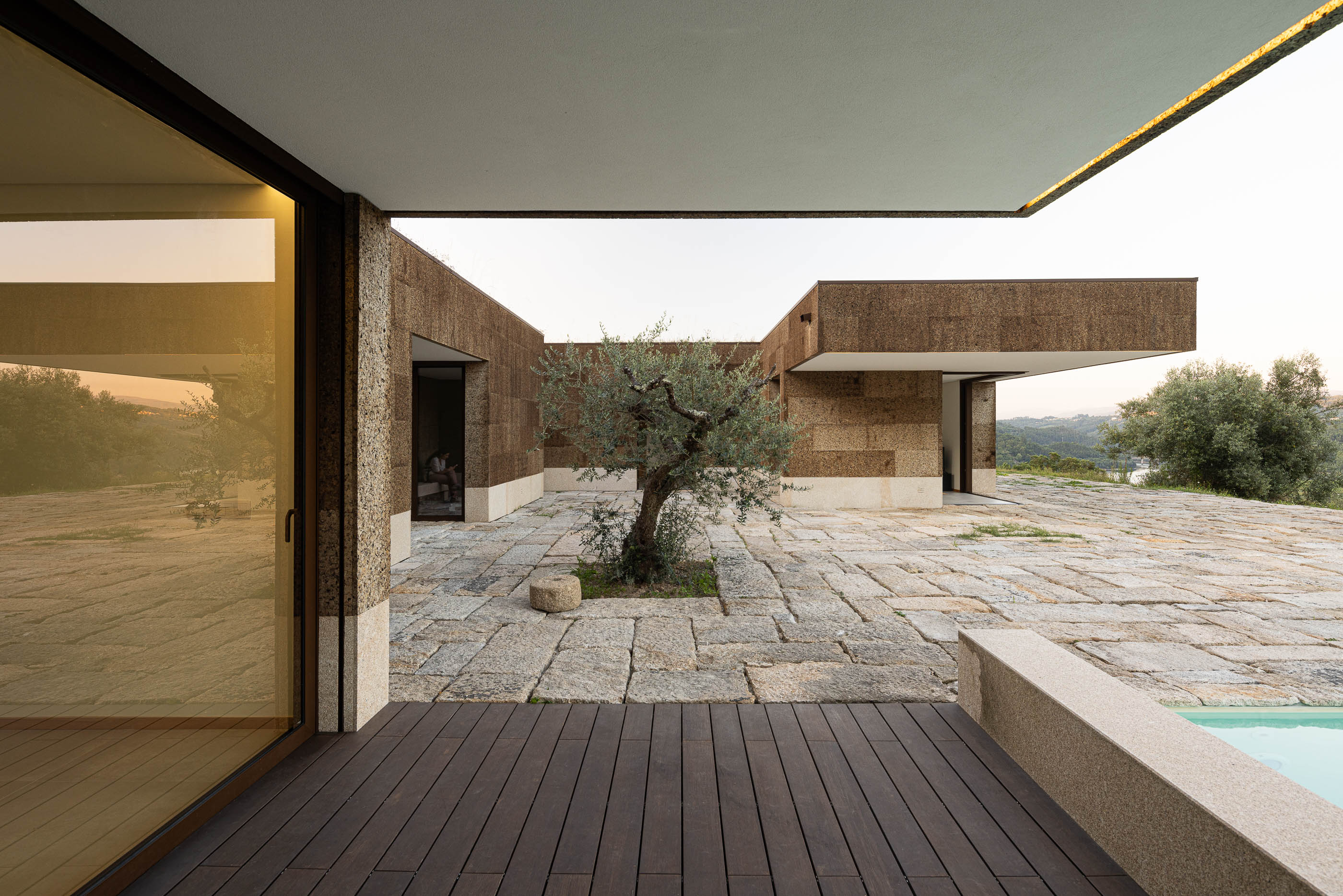 Exterior: Pátio com oliveira, deck em madeira e piscina ao fundo. — Casa da Levada arquitetura Tsou Arquitectos em Penafiel
