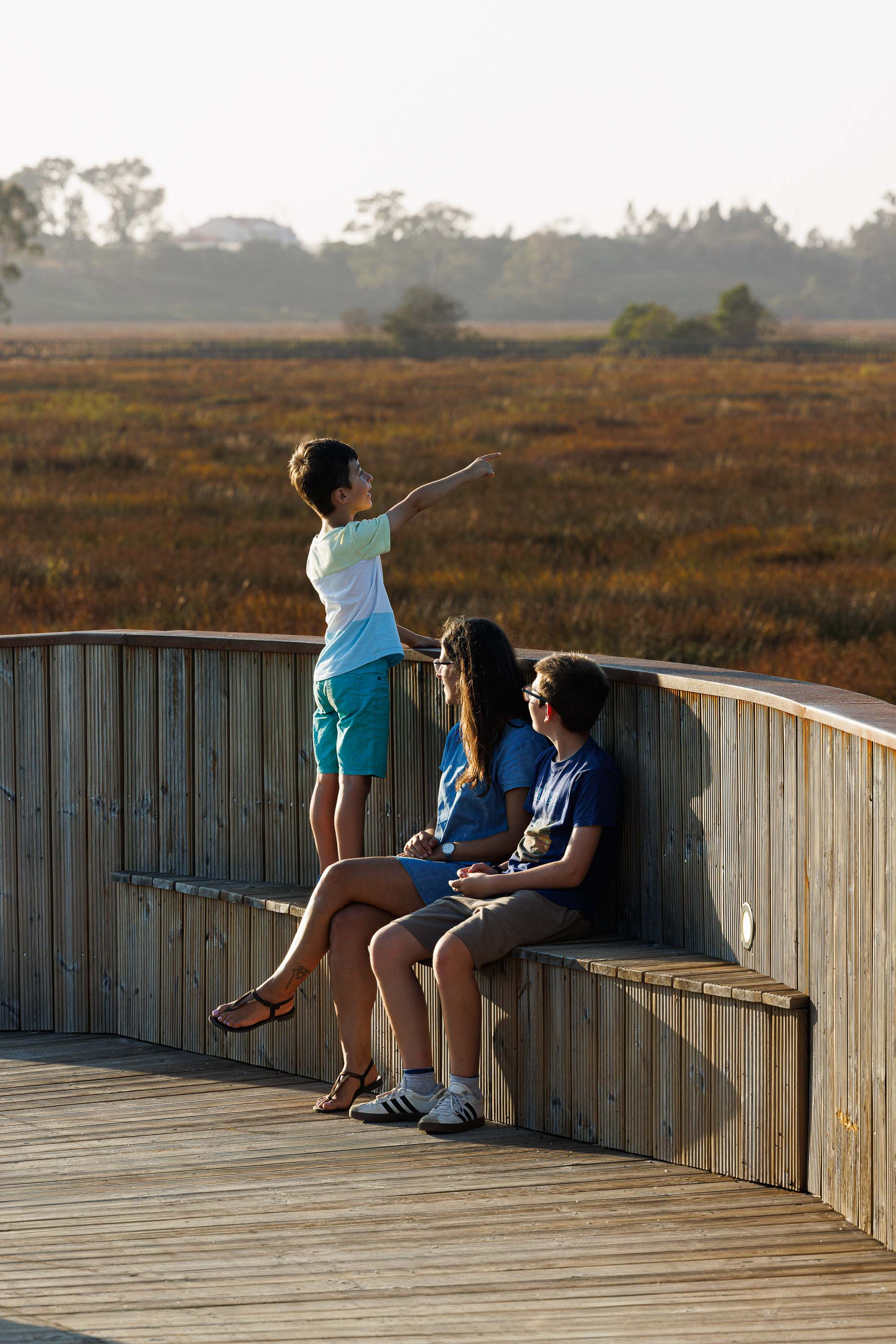 Ponte: Vista da paisagem a partir da ponte, com vegetação densa e água calma. — Requalificação da antiga Ponte da Fareja arquitetura Rómulo Neto Arquitectos em Aveiro