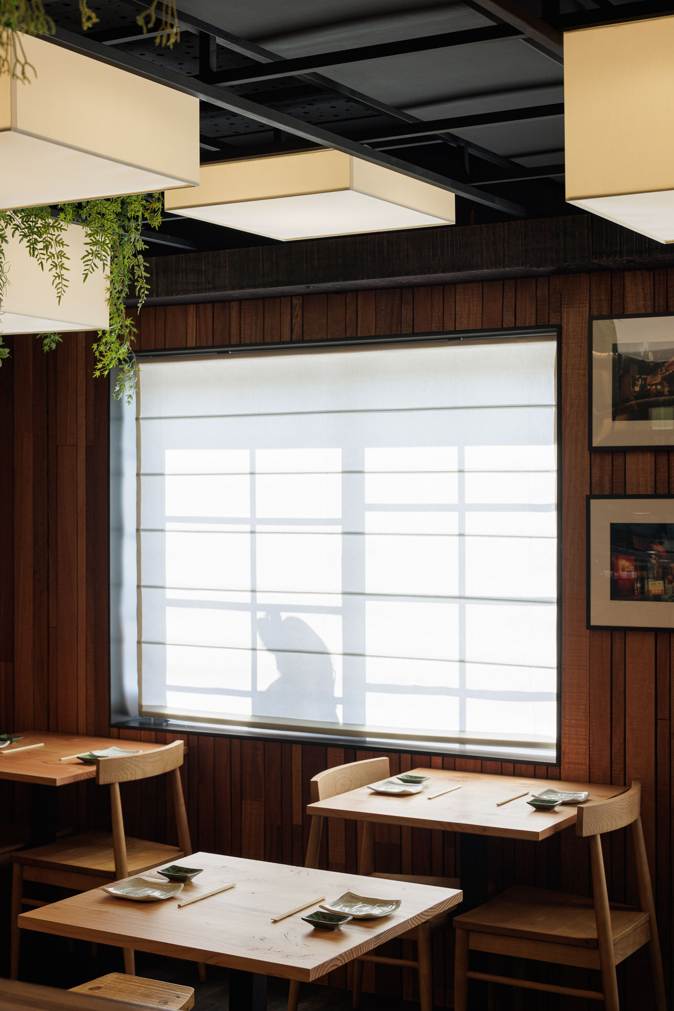 Sala de refeições: Mesas e cadeiras de madeira clara, paredes em madeira, candeeiros quadrados e cortina romana. — Restaurante Izakaya Matsuri arquitetura Ferreira Arquitetos em Aveiro