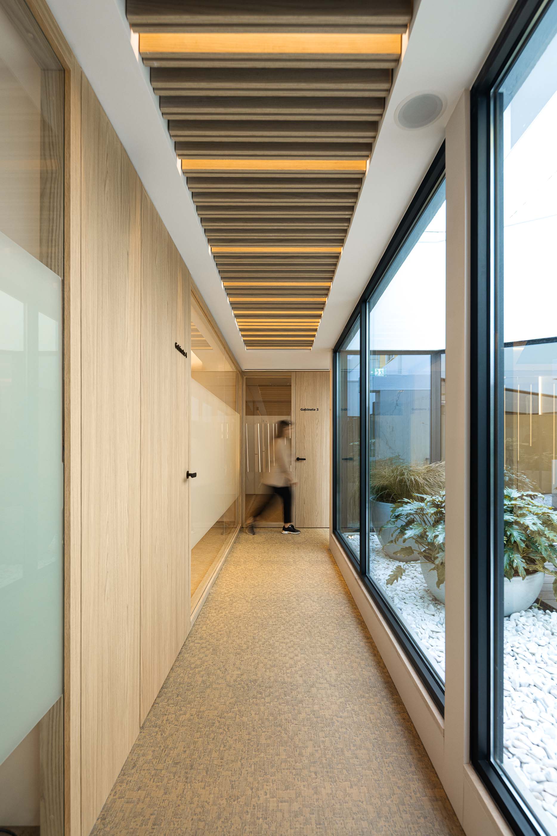 Corredor: Corredor com jardim interior, portas de acesso aos gabinetes e iluminação zenital. — YOU – Clínica Dentária arquitetura Radian Contemporary Architecture em Malveira