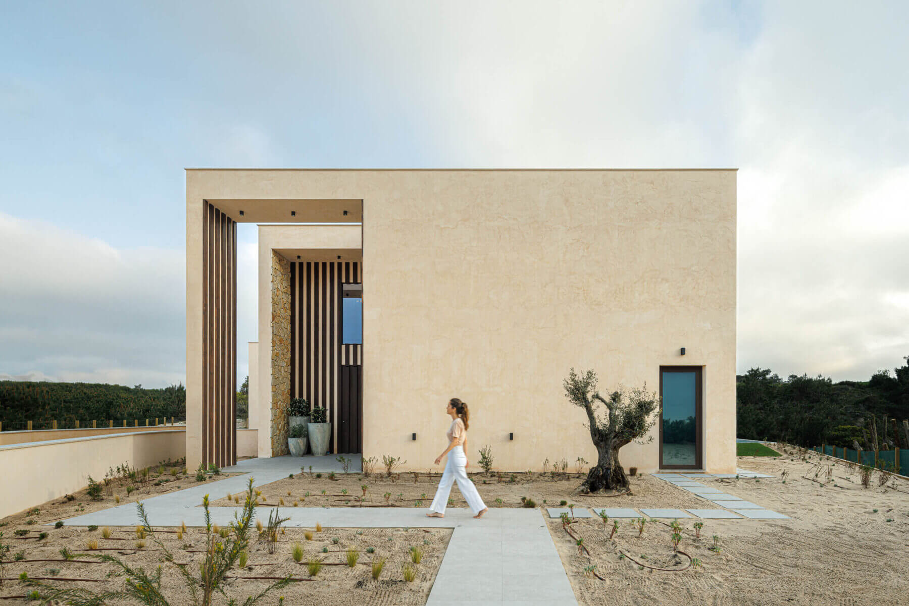 Exterior: Fachada principal com alpendre, oliveira e caminho de acesso. — Parada das Estrelas arquitetura Solano Soto Architecture Studio em Óbidos