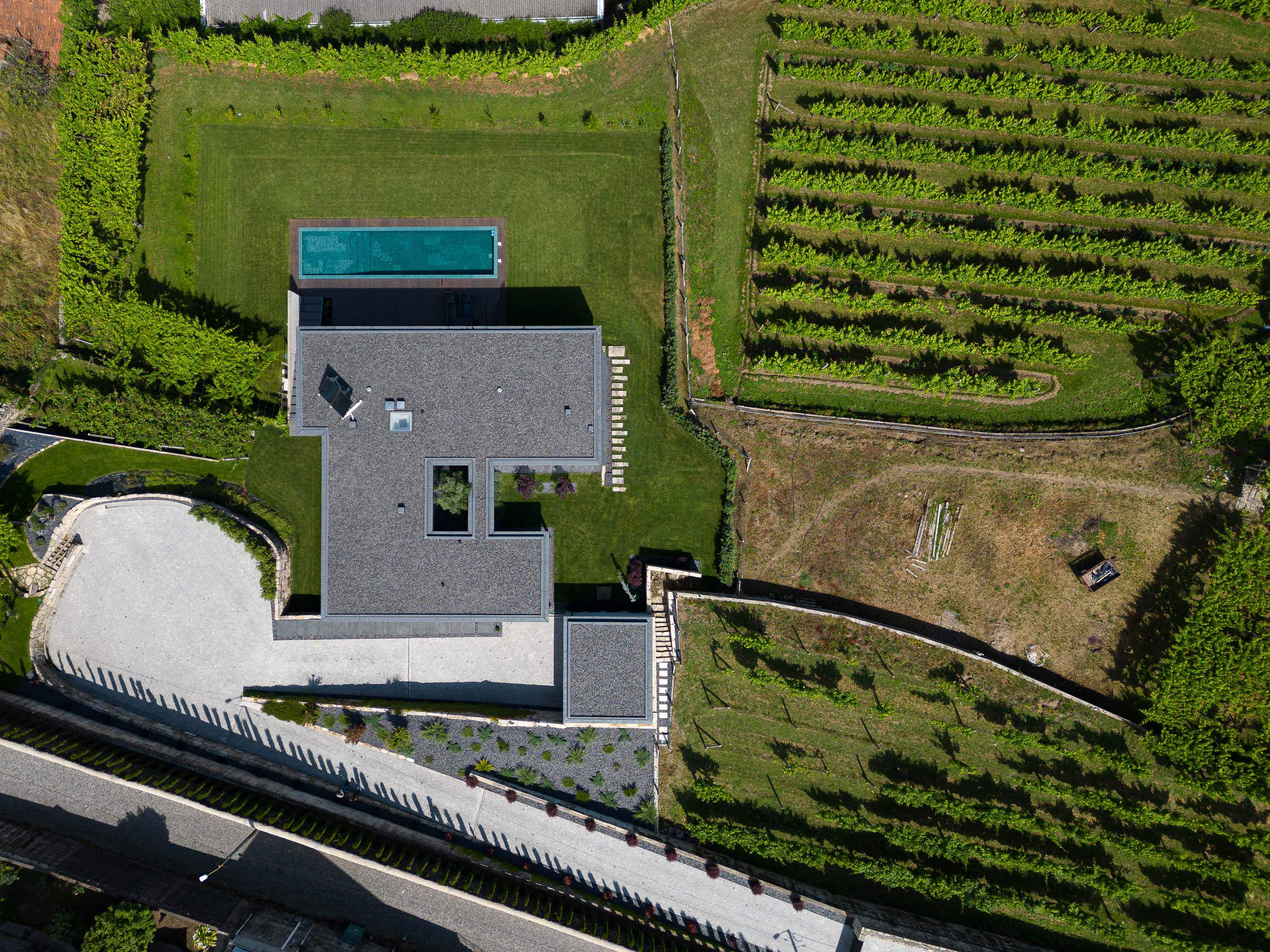 Cobertura: Vista aérea da casa com piscina, jardim relvado, vinha e caminho de acesso em calçada portuguesa. Arquitetura moderna e minimalista. — Casa da Encosta arquitetura Ricardo Azevedo Arquitecto em Santo Tirso
