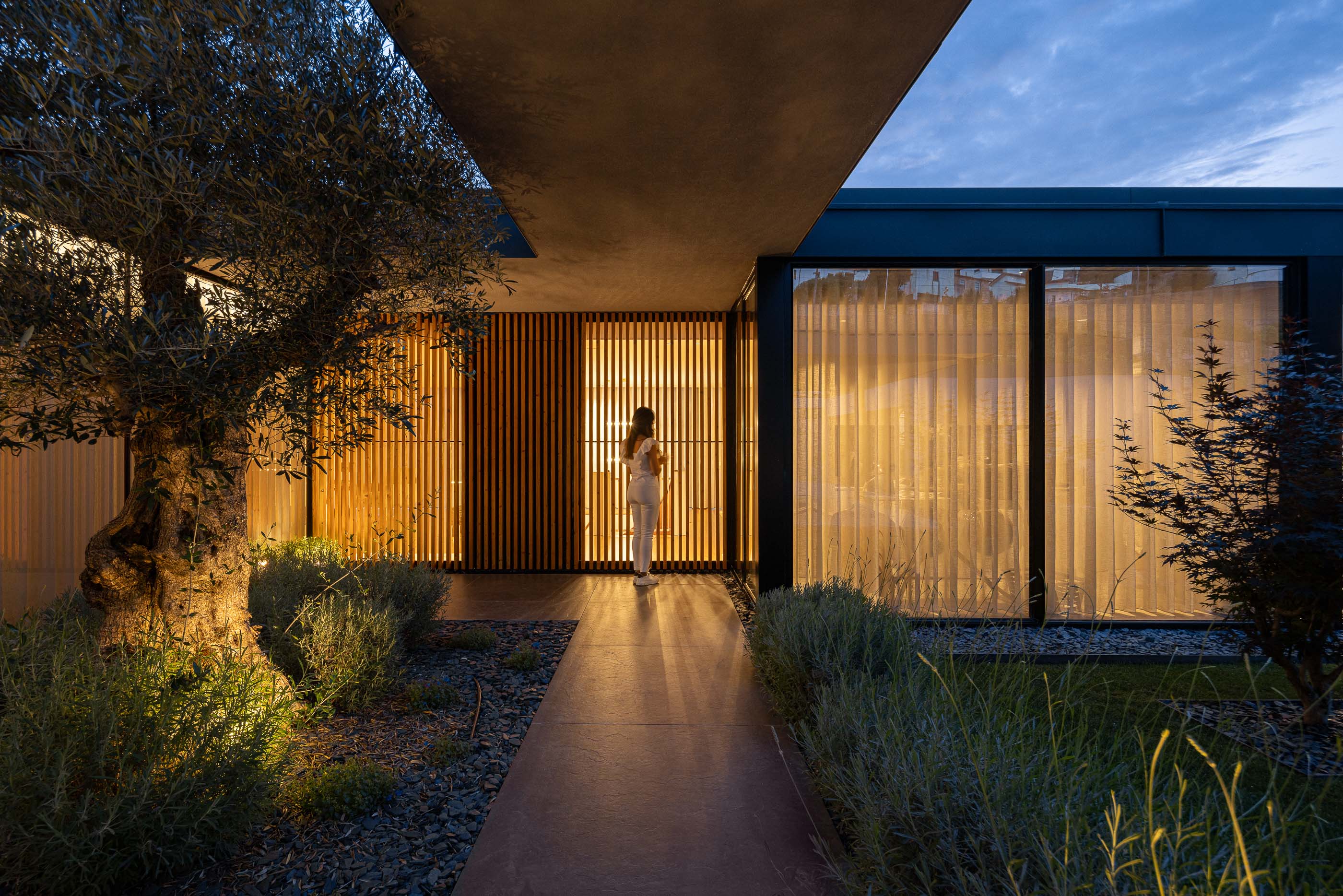 Exterior: Vista da entrada da casa com pátio interior, oliveira e iluminação noturna. Arquitetura moderna e acolhedora. — Casa da Encosta arquitetura Ricardo Azevedo Arquitecto em Santo Tirso