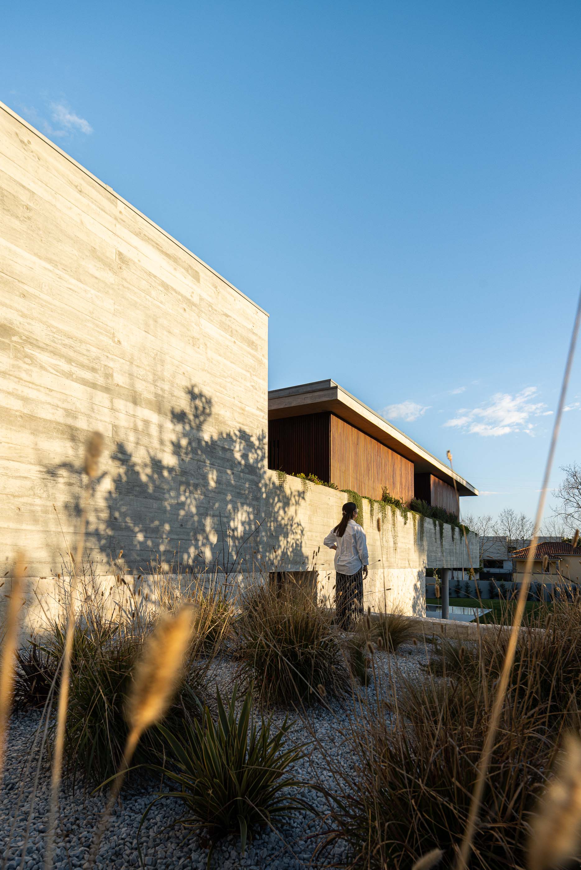 Exterior: Fachada de betão aparente e madeira, com vegetação. — Casa M arquitetura silverline em Vila Nova de Gaia