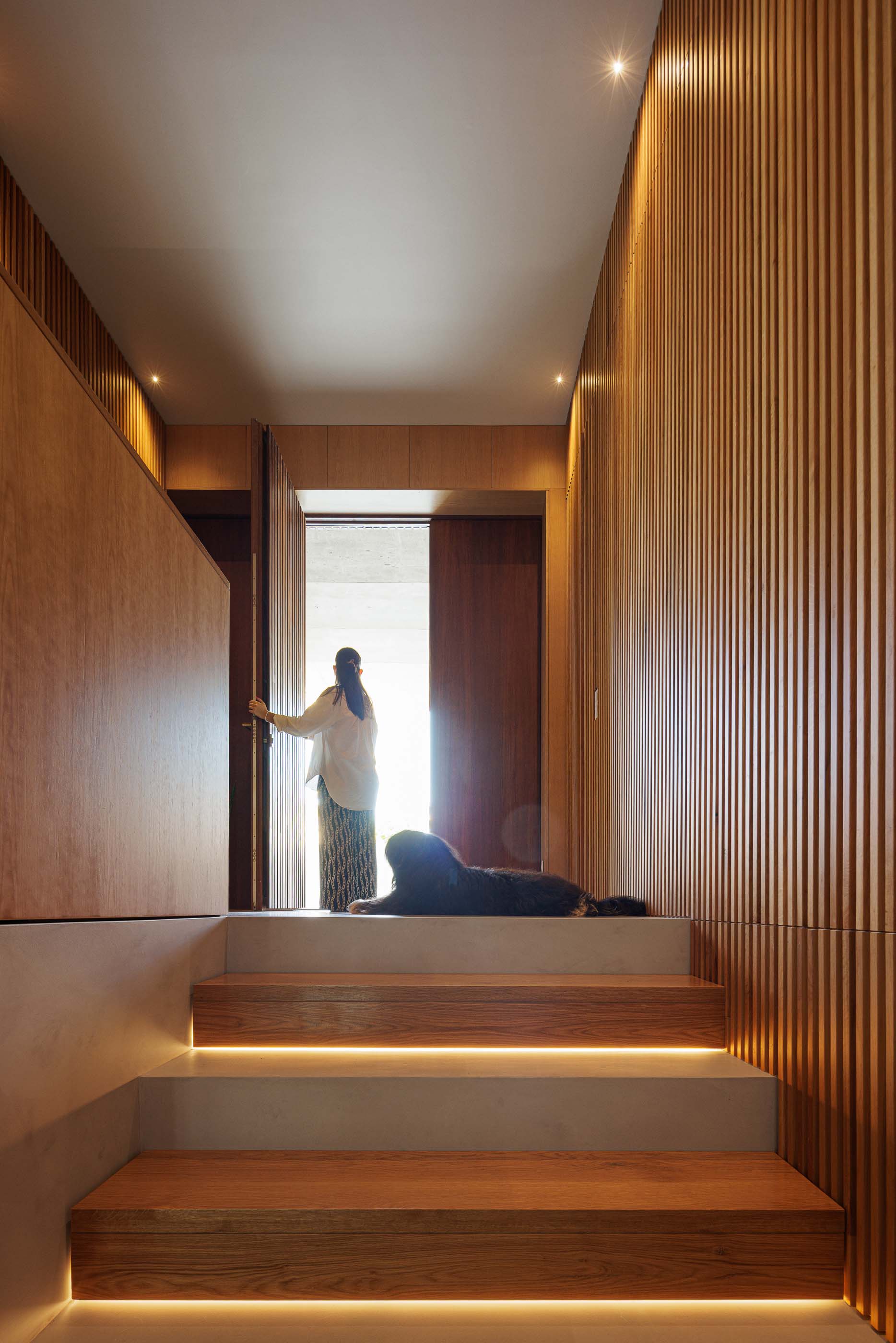 Hall de entrada: Escadas em madeira com iluminação indireta e paredes revestidas a madeira. — Casa M arquitetura silverline em Vila Nova de Gaia