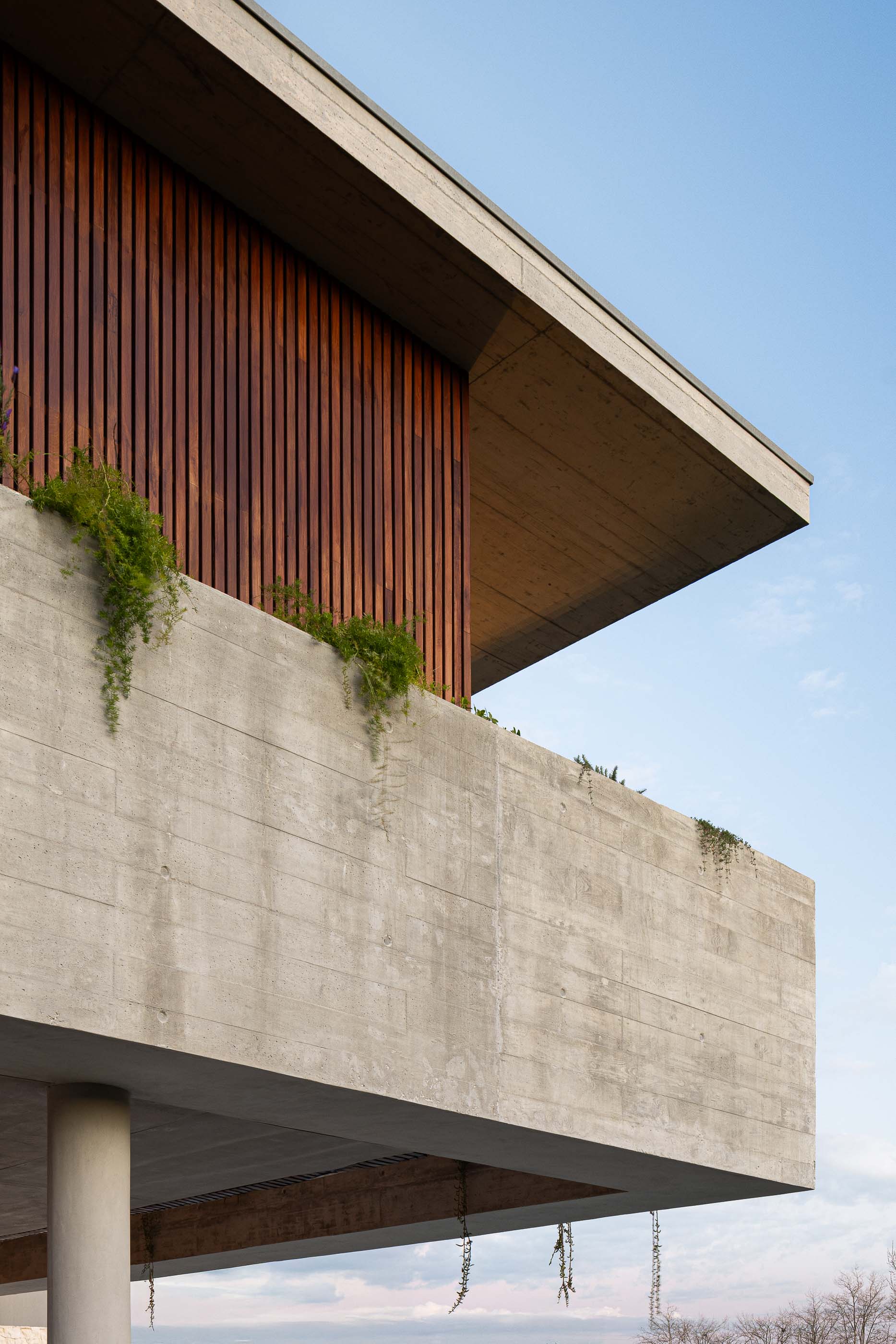 Exterior: Vista da casa com piscina, relvado e iluminação exterior. — Casa M arquitetura silverline em Vila Nova de Gaia