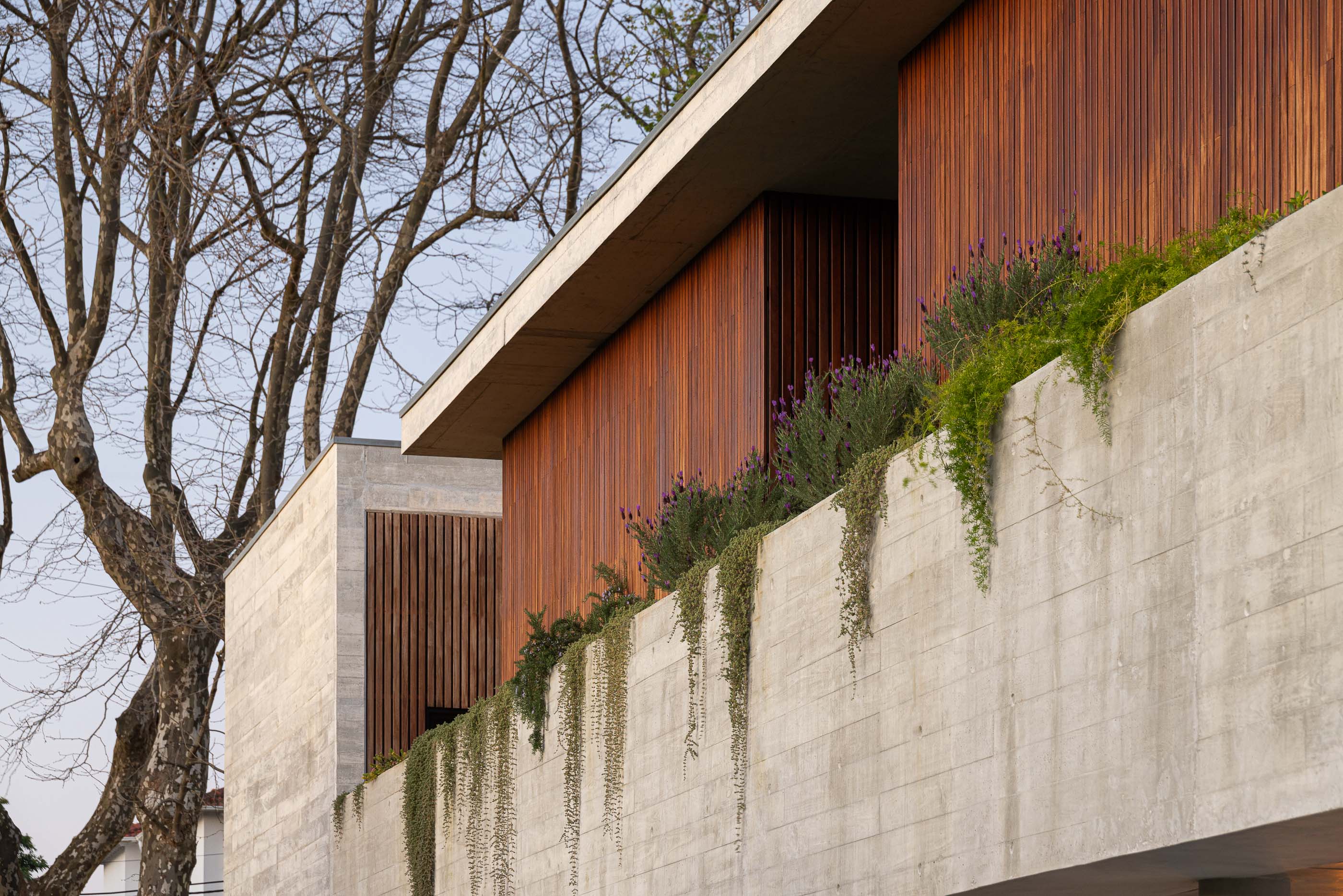 Exterior: Vista da casa com piscina, relvado e iluminação exterior. — Casa M arquitetura silverline em Vila Nova de Gaia