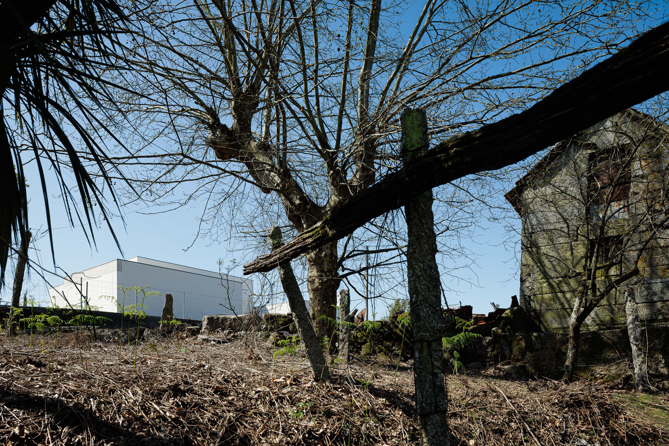 Exterior: Vista da casa a partir de um terreno rústico, com uma construção antiga em ruínas. — Pedrantil House arquitetura Helder da Rocha Arquitectos em Penafiel