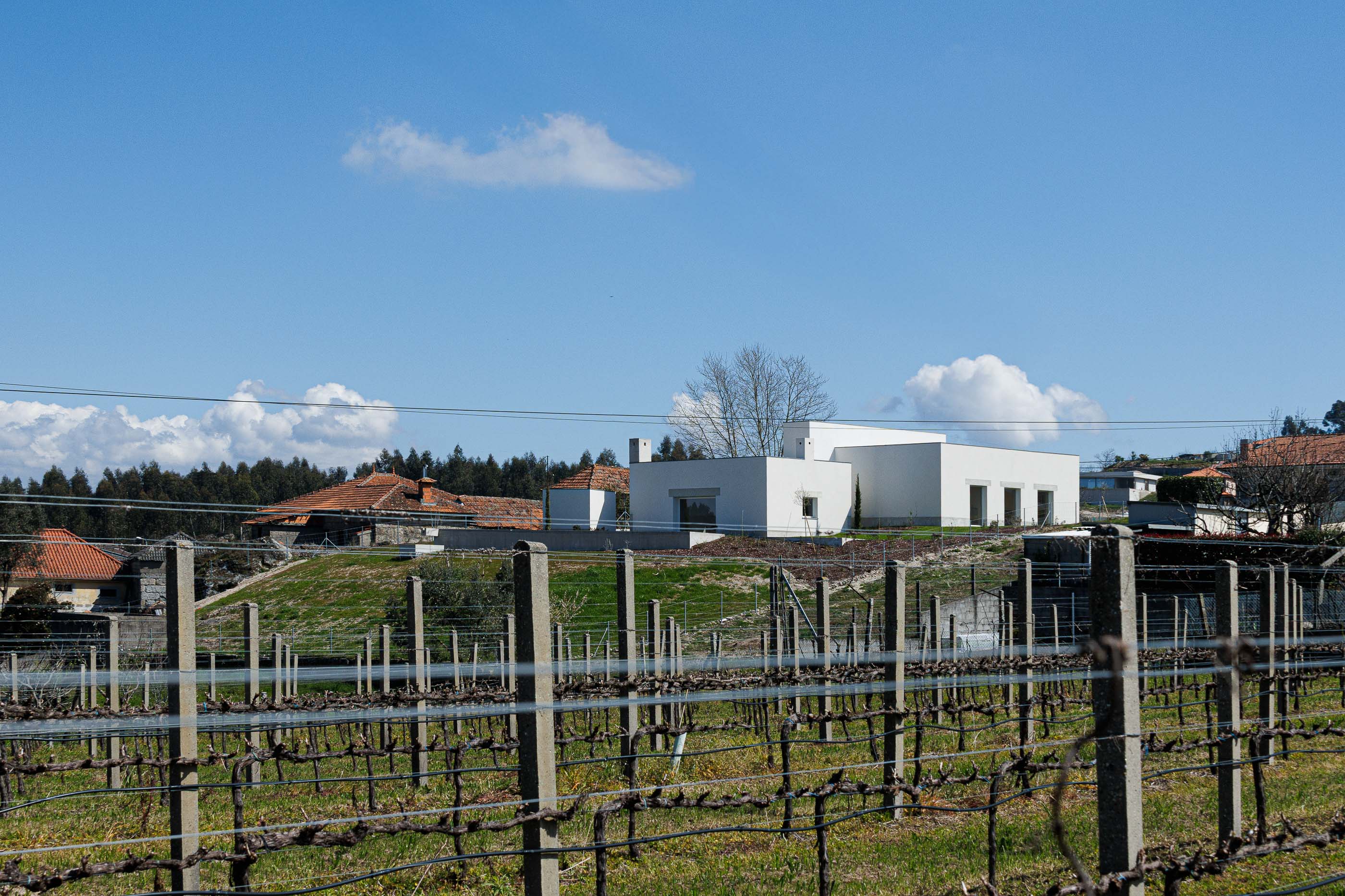 Exterior: Perspectiva da casa branca, com vinhas em primeiro plano, mostrando a sua localização rural. — Pedrantil House arquitetura Helder da Rocha Arquitectos em Penafiel