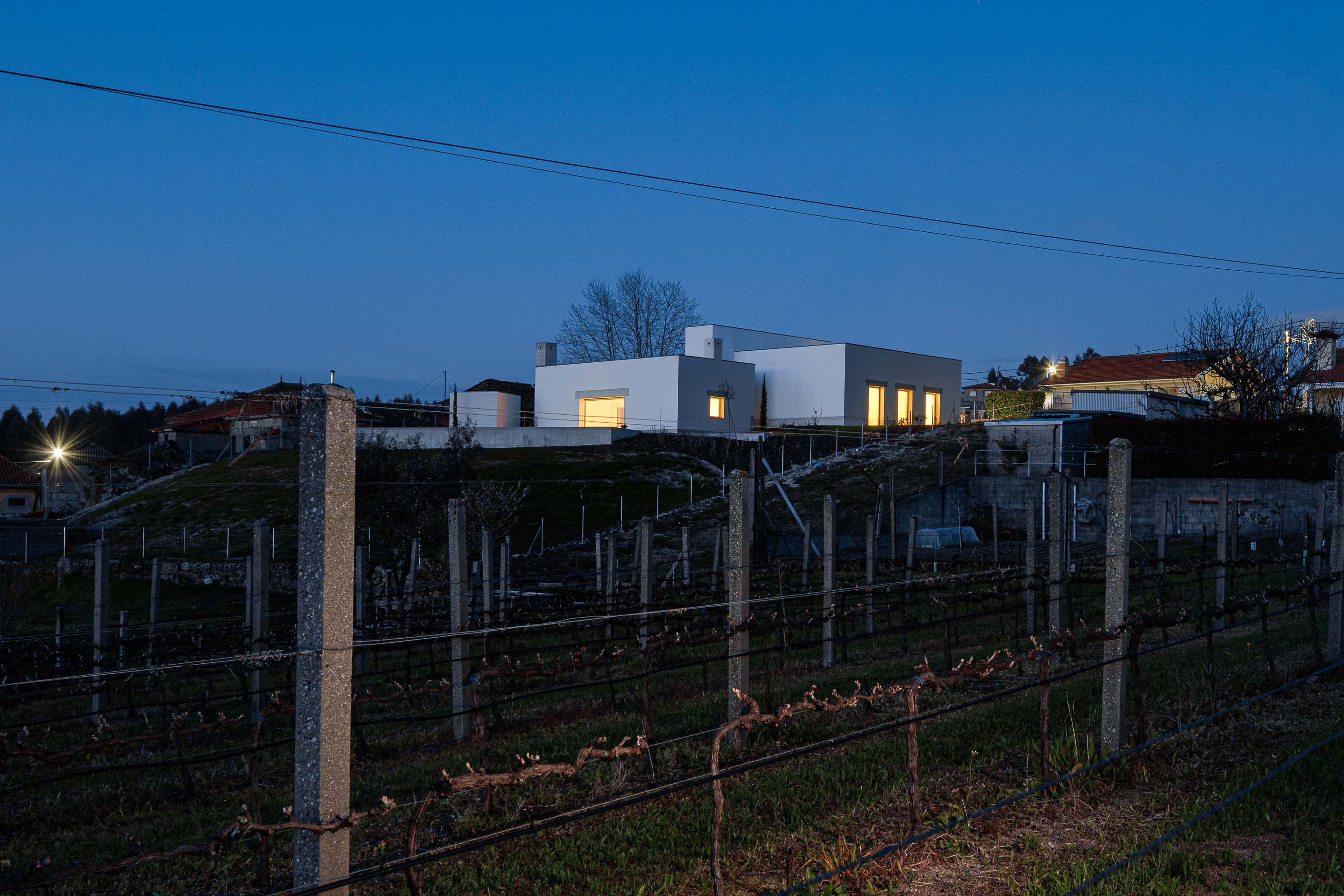 Exterior: Casa branca iluminada ao anoitecer, vista através de uma vinha. — Pedrantil House arquitetura Helder da Rocha Arquitectos em Penafiel