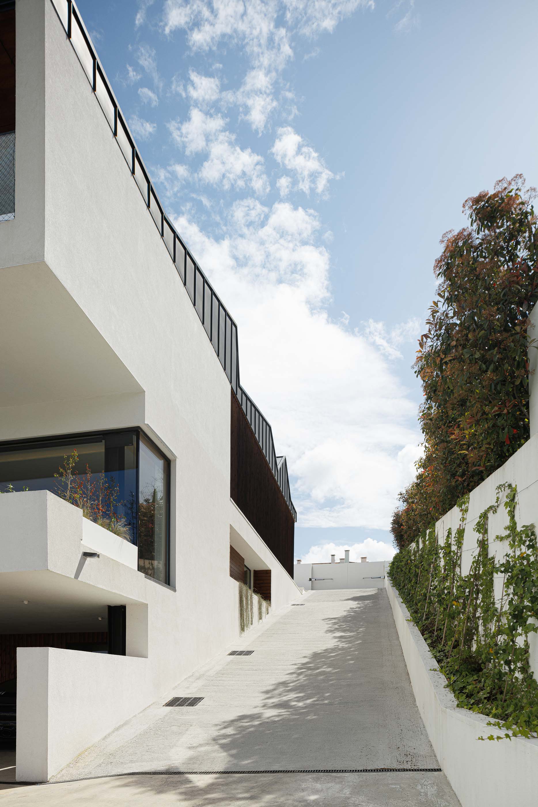 Exterior: Acesso à casa com rampa em betão, paredes brancas e vegetação trepadeira. — Casa dos Alcoutins arquitetura Paulo Martins Arquitectura e Design em Lisboa