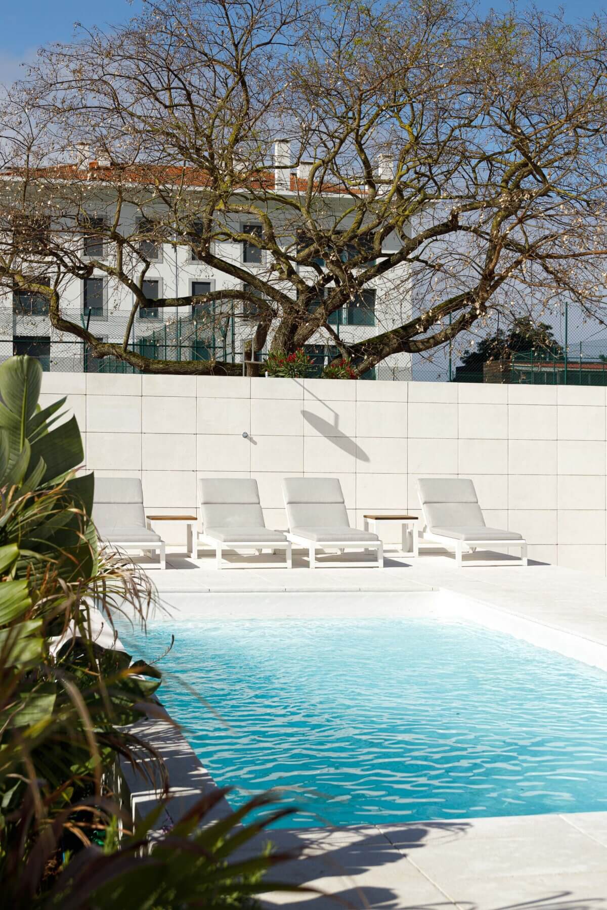 20240427-PAULO-MARTINS-ALCOUTINS