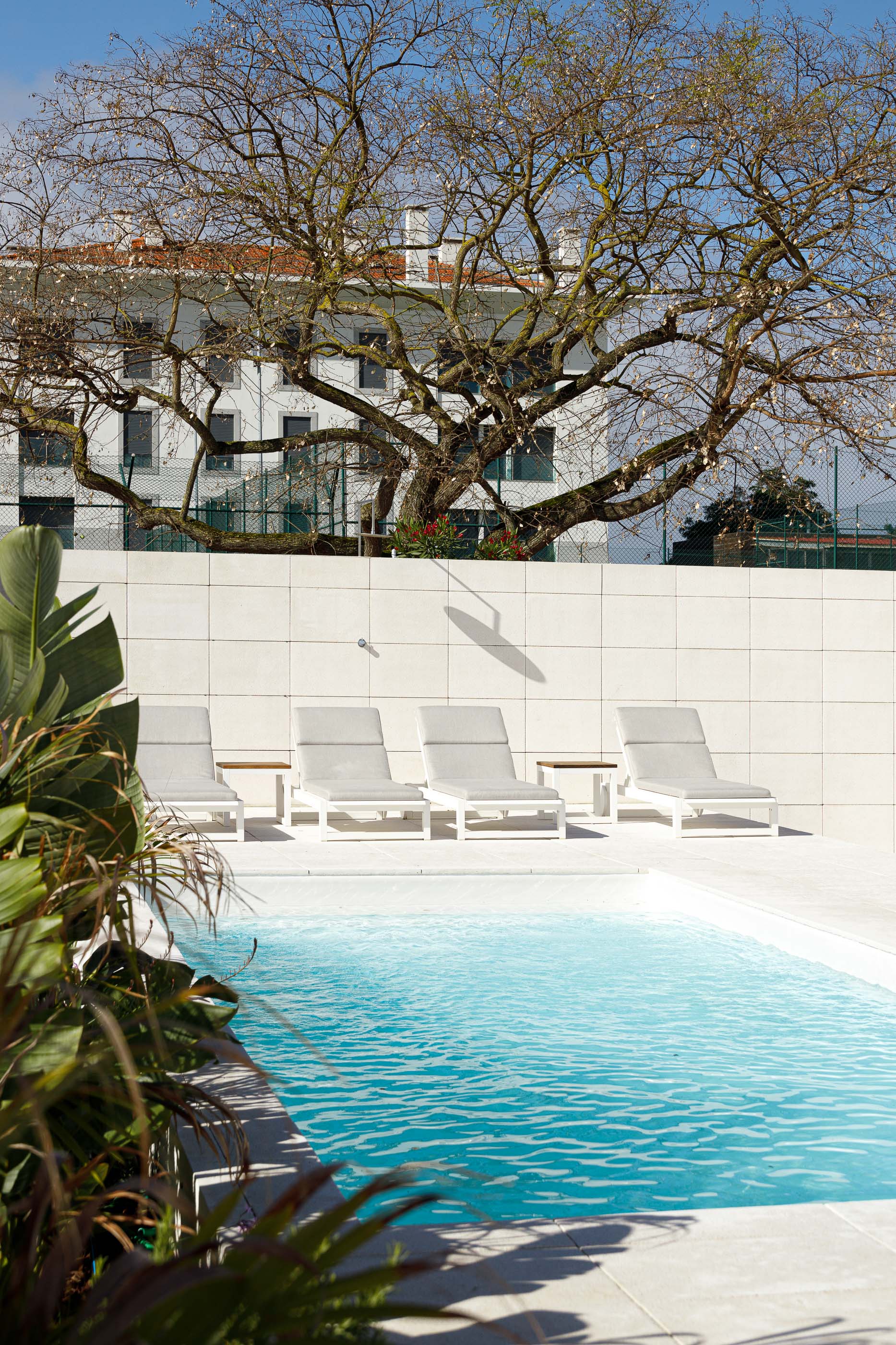 Piscina: Área de lazer com piscina retangular, espreguiçadeiras e parede revestida a pedra clara. — Casa dos Alcoutins arquitetura Paulo Martins Arquitectura e Design em Lisboa