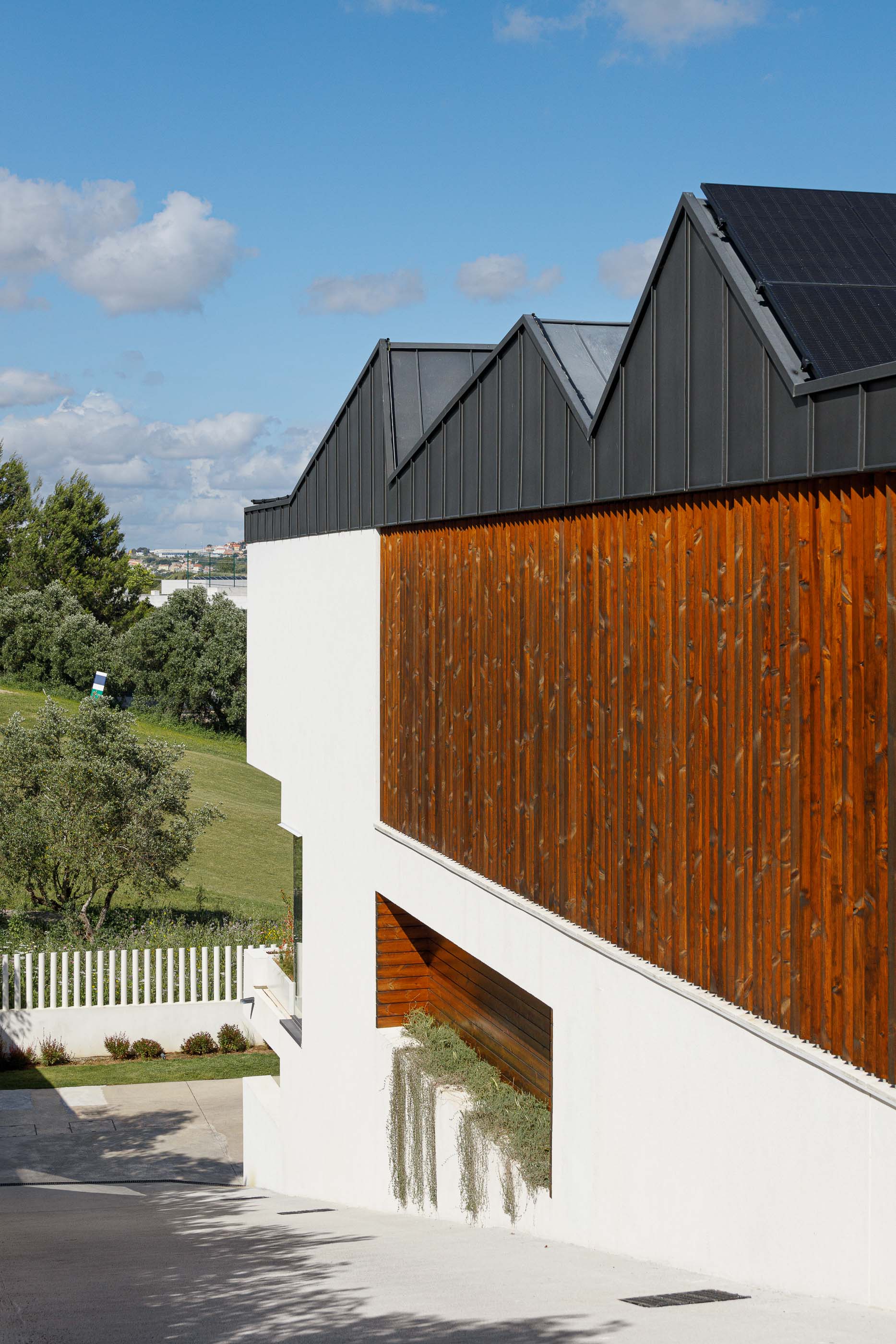 Exterior: Detalhe da fachada com telhado angular, revestimento em madeira e parede branca com vegetação. — Casa dos Alcoutins arquitetura Paulo Martins Arquitectura e Design em Lisboa