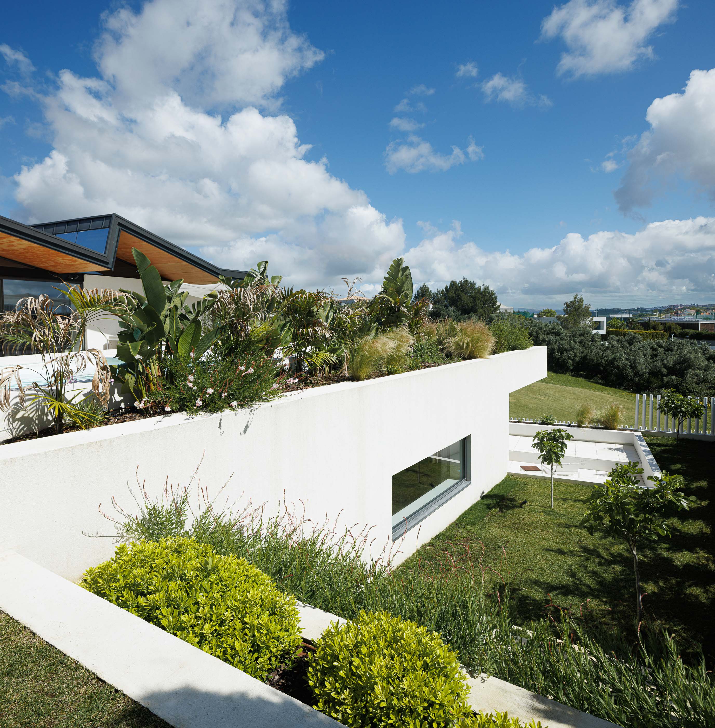 Jardim: Vista do jardim com vegetação diversificada e fachada branca da casa ao fundo. — Casa dos Alcoutins arquitetura Paulo Martins Arquitectura e Design em Lisboa
