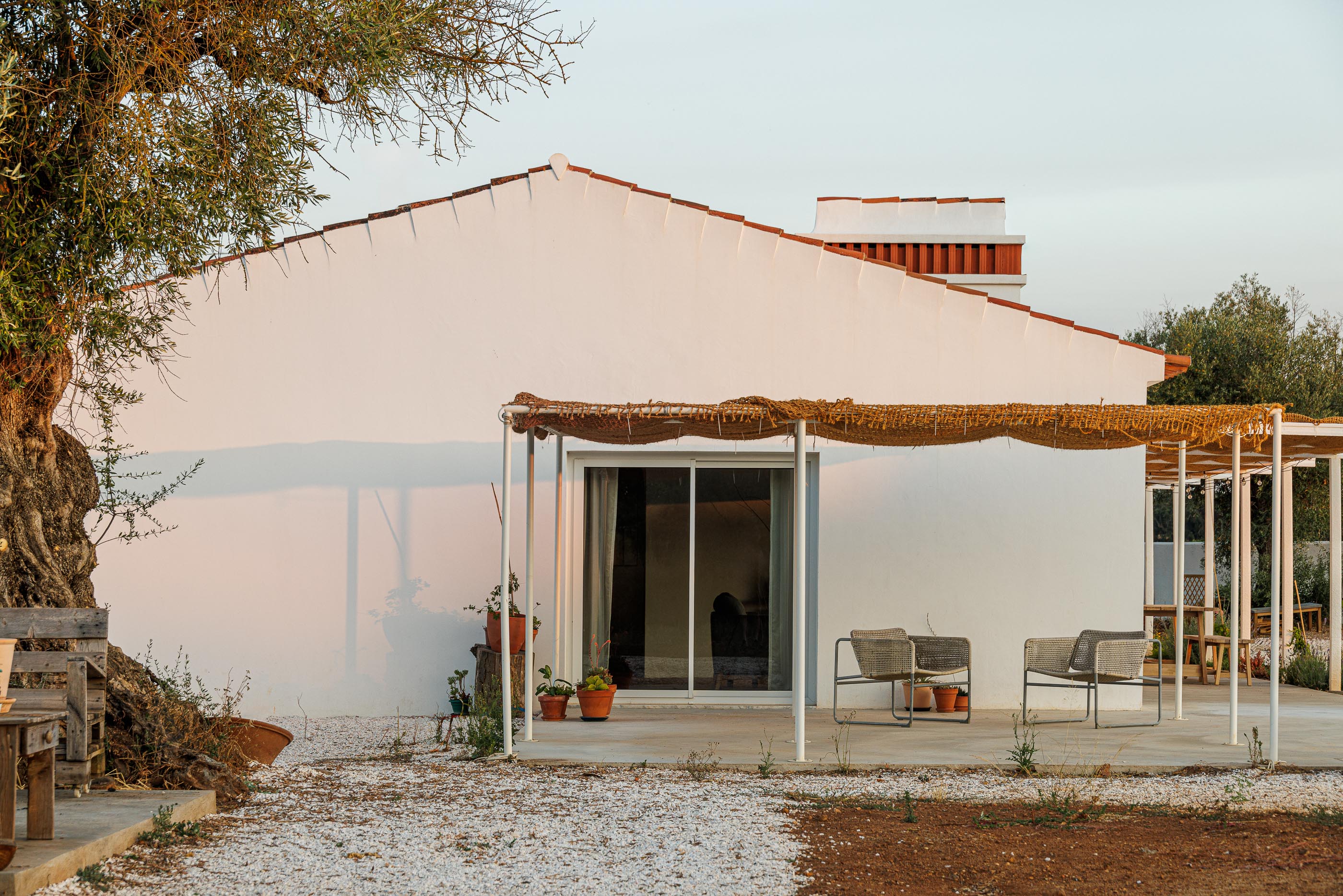 Exterior: Fachada branca com telhado de telha, alpendre com cobertura de palha e oliveira centenária. — Monte do Divor arquitetura Vasco Burnay Arquitectura em Estremoz