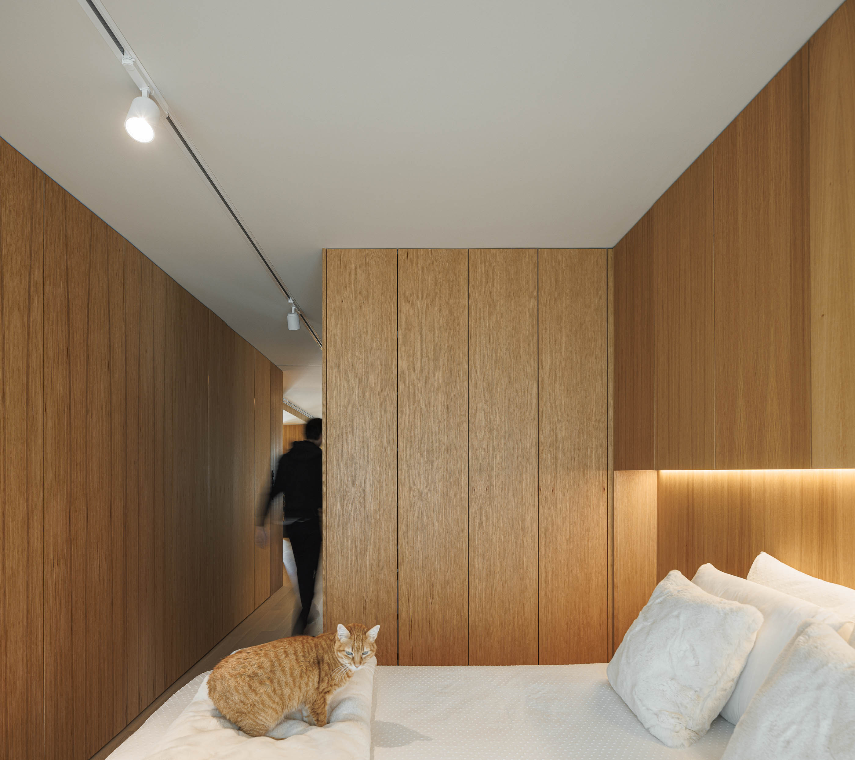 Quarto: Vista geral do quarto com armários embutidos em madeira, candeeiro de teto e um gato laranja na cama. — Barra Apartment arquitetura Paulo Martins Arquitectura e Design em Aveiro