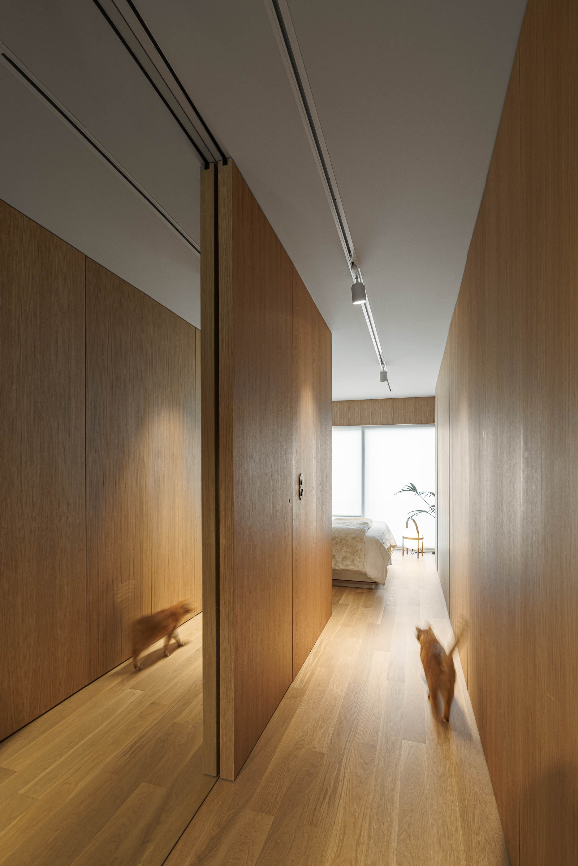 Corredor: Espelho de corpo inteiro reflectindo o corredor com armários em madeira e pavimento em madeira clara. — Barra Apartment arquitetura Paulo Martins Arquitectura e Design em Aveiro