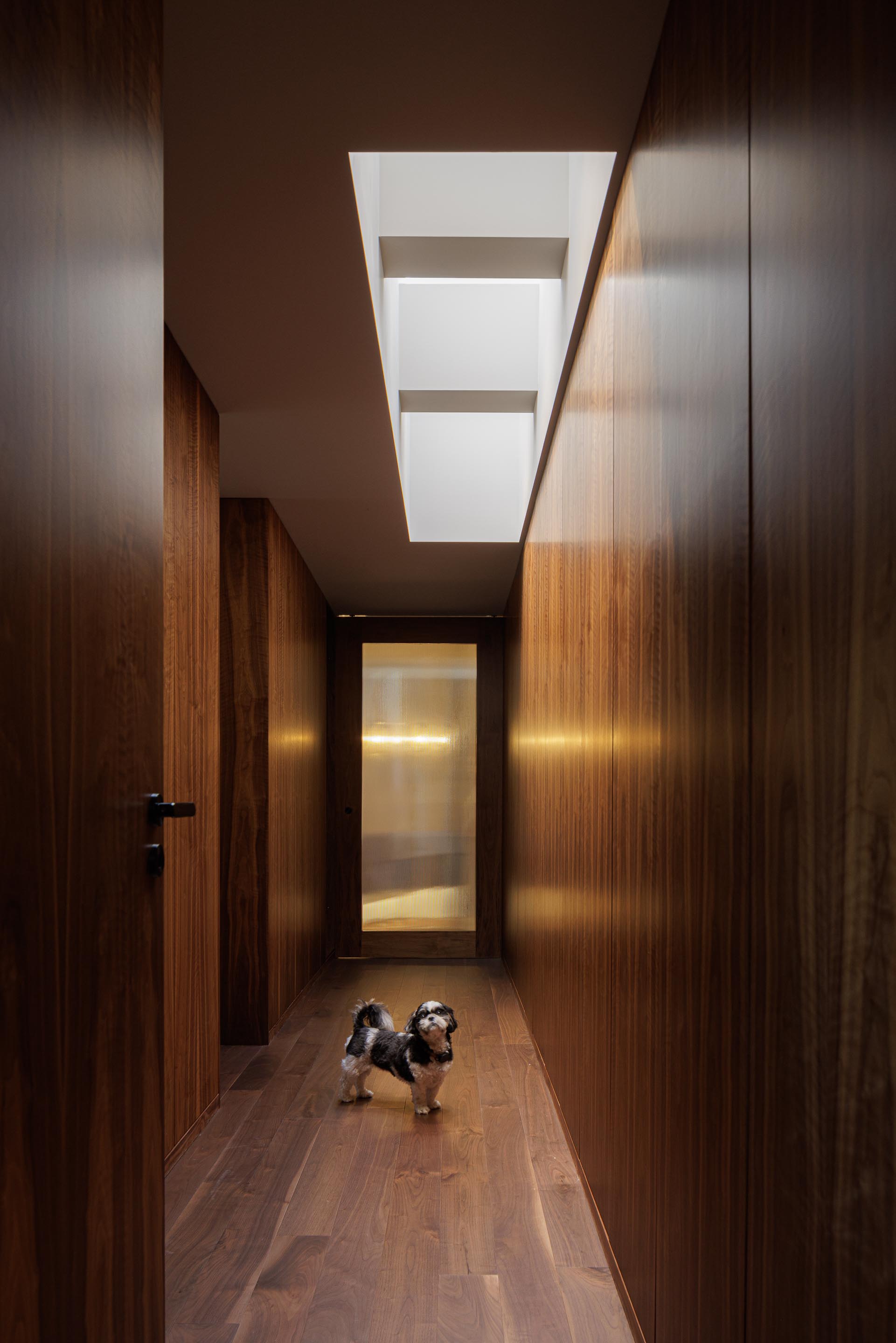 Corredor: Longo corredor com paredes revestidas em madeira escura, claraboia no teto e pavimento em madeira. — Casa do Engenho arquitetura silverline em Vila Nova de Gaia