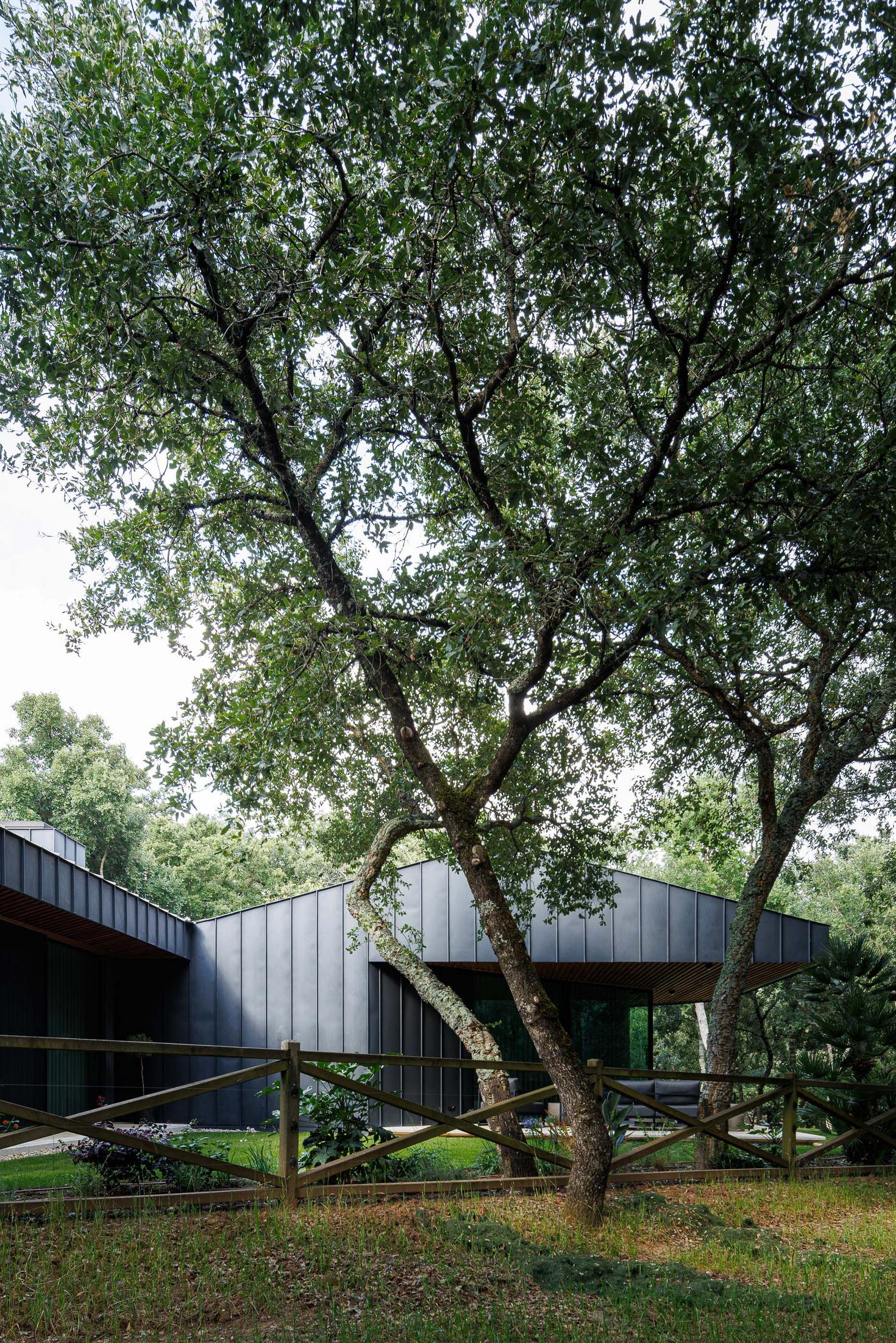 Exterior: Vista da casa com revestimento metálico preto e vedação em madeira. — CC House – Quinta dos Carvalhos arquitetura Inception Architects Studio em Leiria
