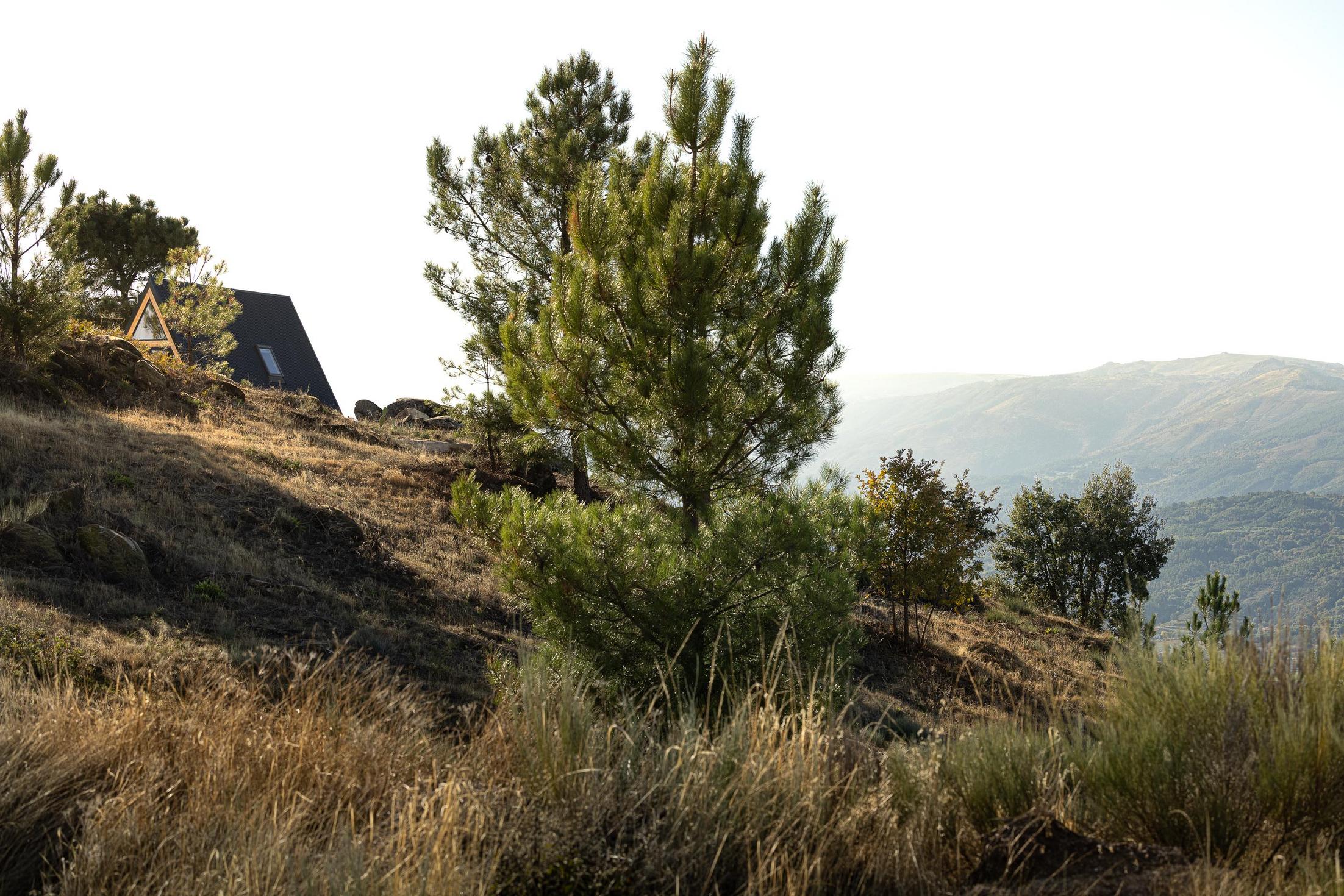 Exterior da cabana triangular vista através da vegetação e da paisagem montanhosa. — Abrigos de Montanha arquitetura Filipe Pina Arquitectura em Belmonte