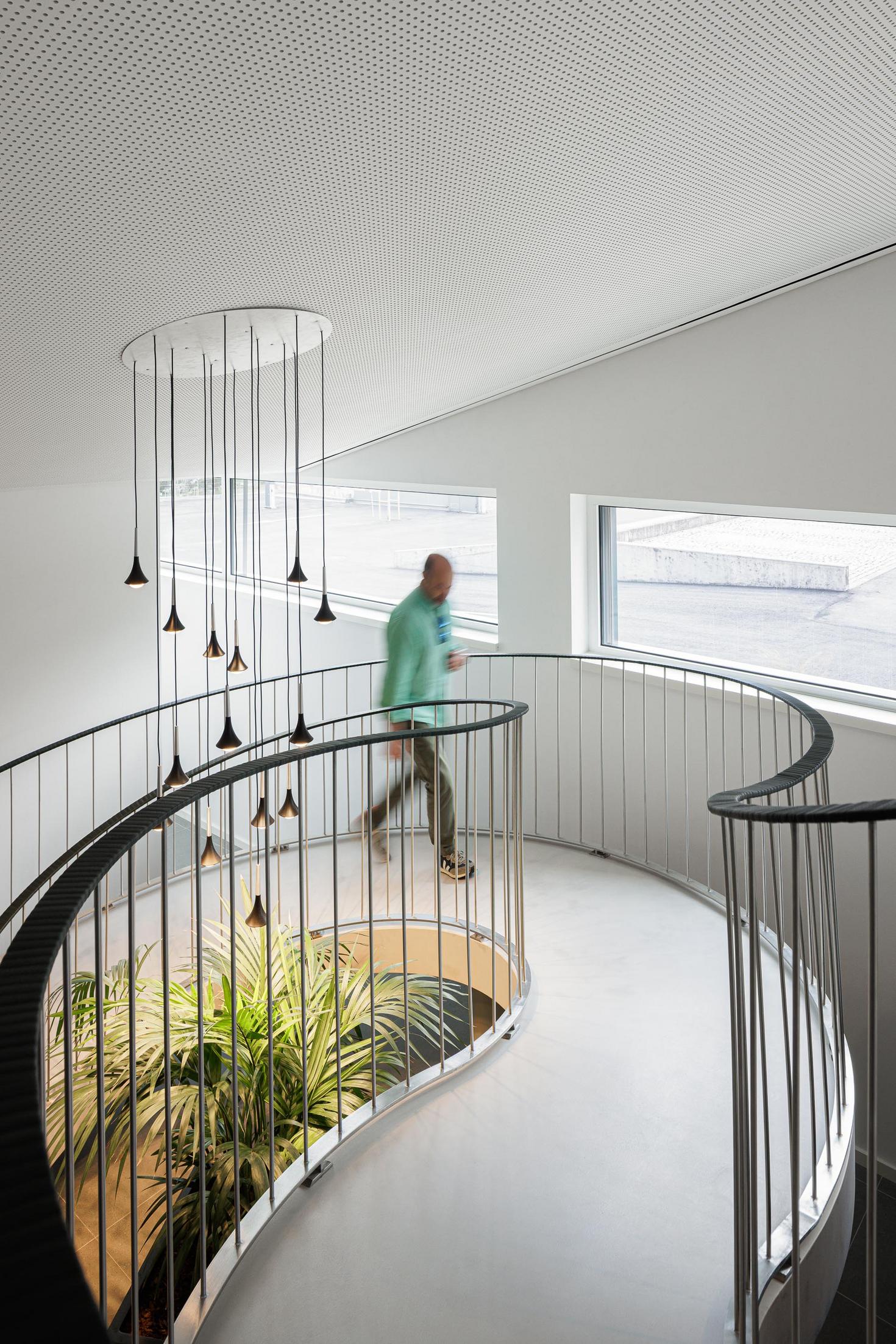 Escadaria interior: Escada em caracol com candeeiro pendente e plantas. — Bradco II arquitetura Em Paralelo em Castelo de Paiva