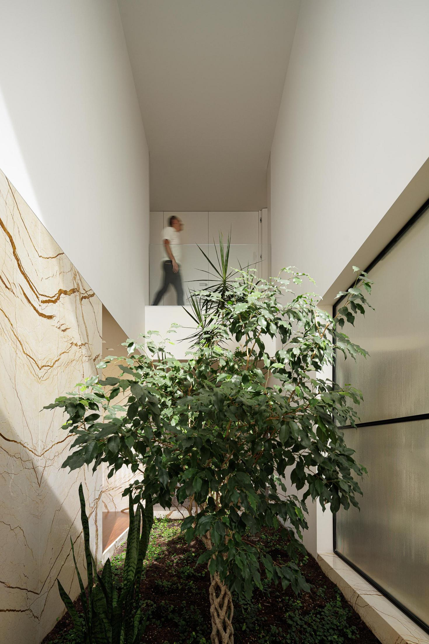 Jardim interior: Vegetação exuberante e vista para o corredor superior com pessoa a passar. — Casa Branca Minimalista arquitetura Arquitetura501 em Braga