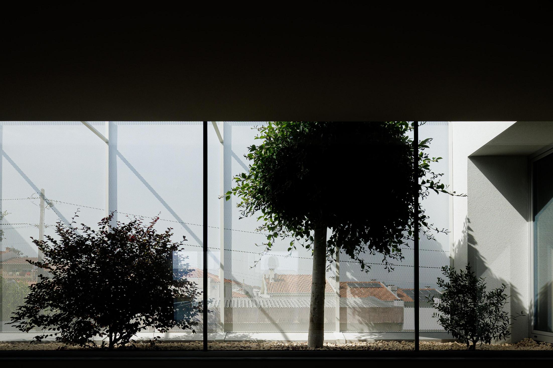 Exterior: Detalhe da janela com vista para o jardim interior e vegetação. — Casa Branca Minimalista arquitetura Arquitetura501 em Braga