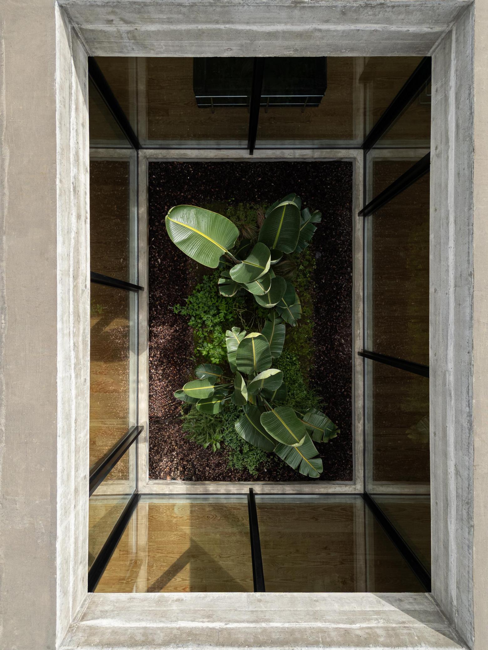 Pátio interior: Vista superior do pátio com vegetação tropical e caixilharia preta. — Casa CR arquitetura SO Arquitetura & Design em São Miguel