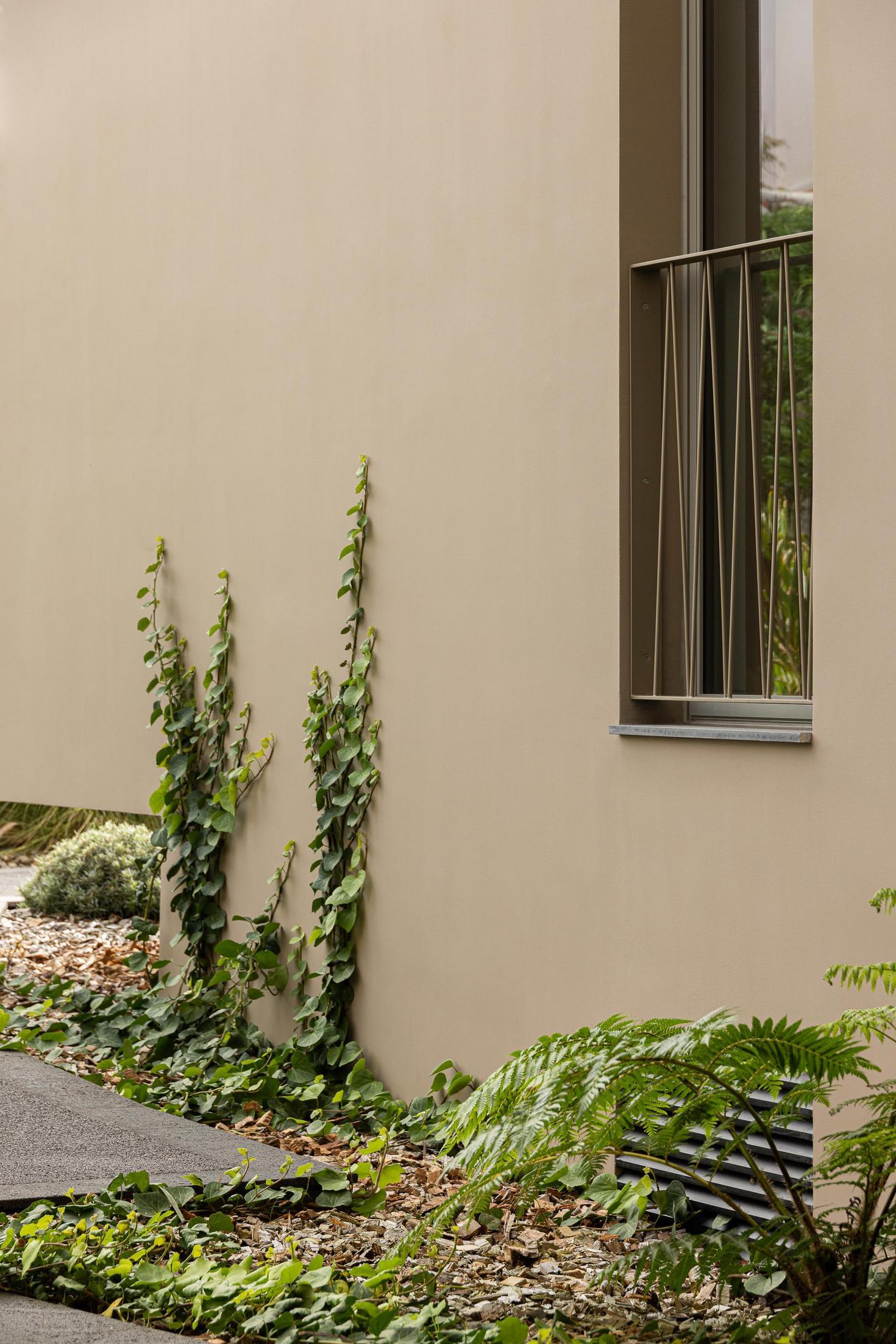 Jardim: Detalhe da parede exterior com trepadeiras e grade da varanda. — ERNESTO DO CANTO - condomínio arquitetura BOX arquitectos em Ponta Delgada