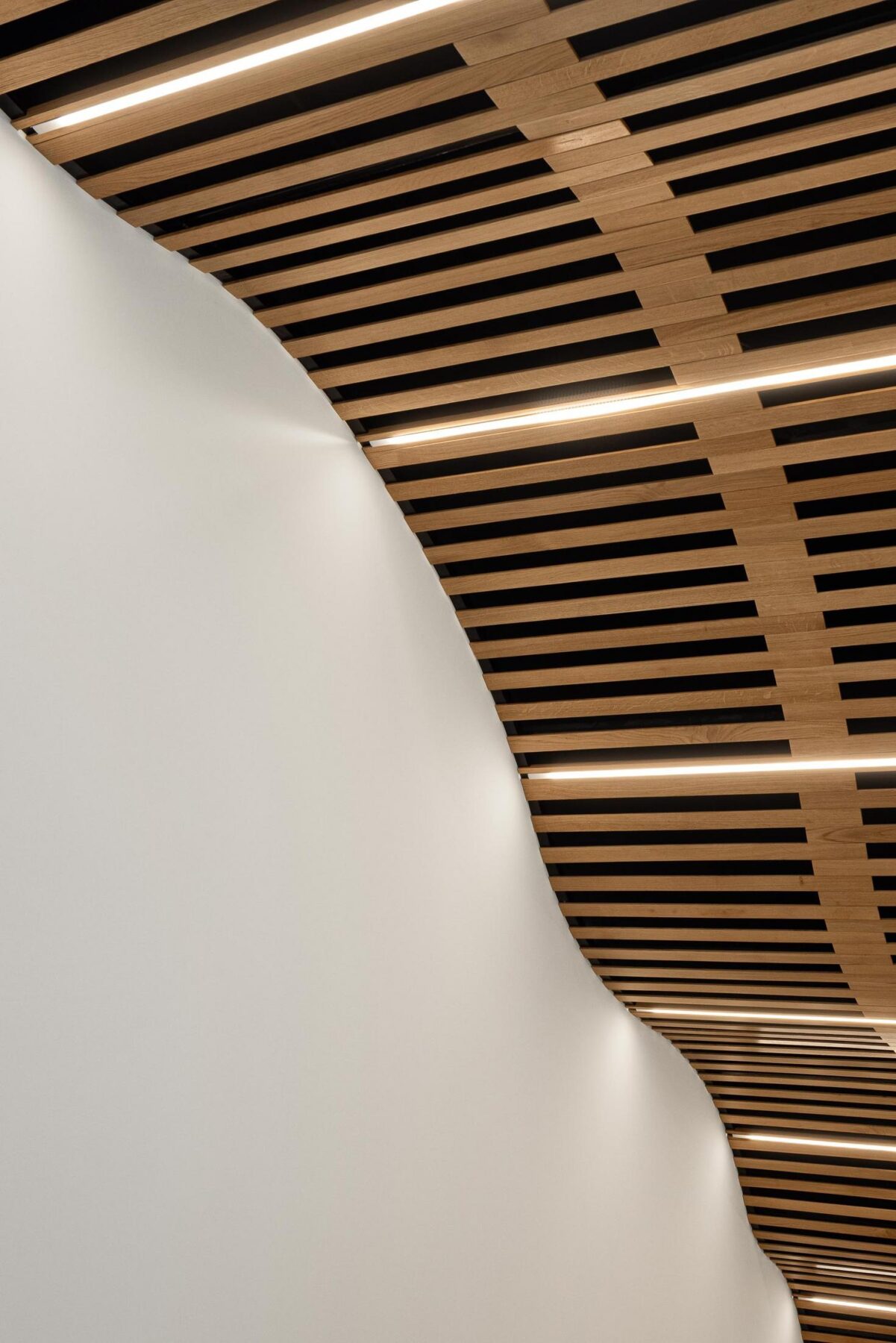 Adega Vinhos Borges . Borges Wine Cellar com arquitetura Em Paralelo e fotografia Ivo Tavares