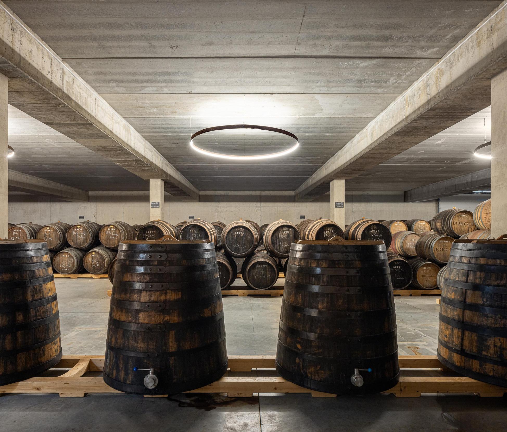 Cave: Cave com barricas de vinho, pavimento em betão e candeeiro circular suspenso. — Adega Vinhos Borges arquitetura Em Paralelo em Vila Real