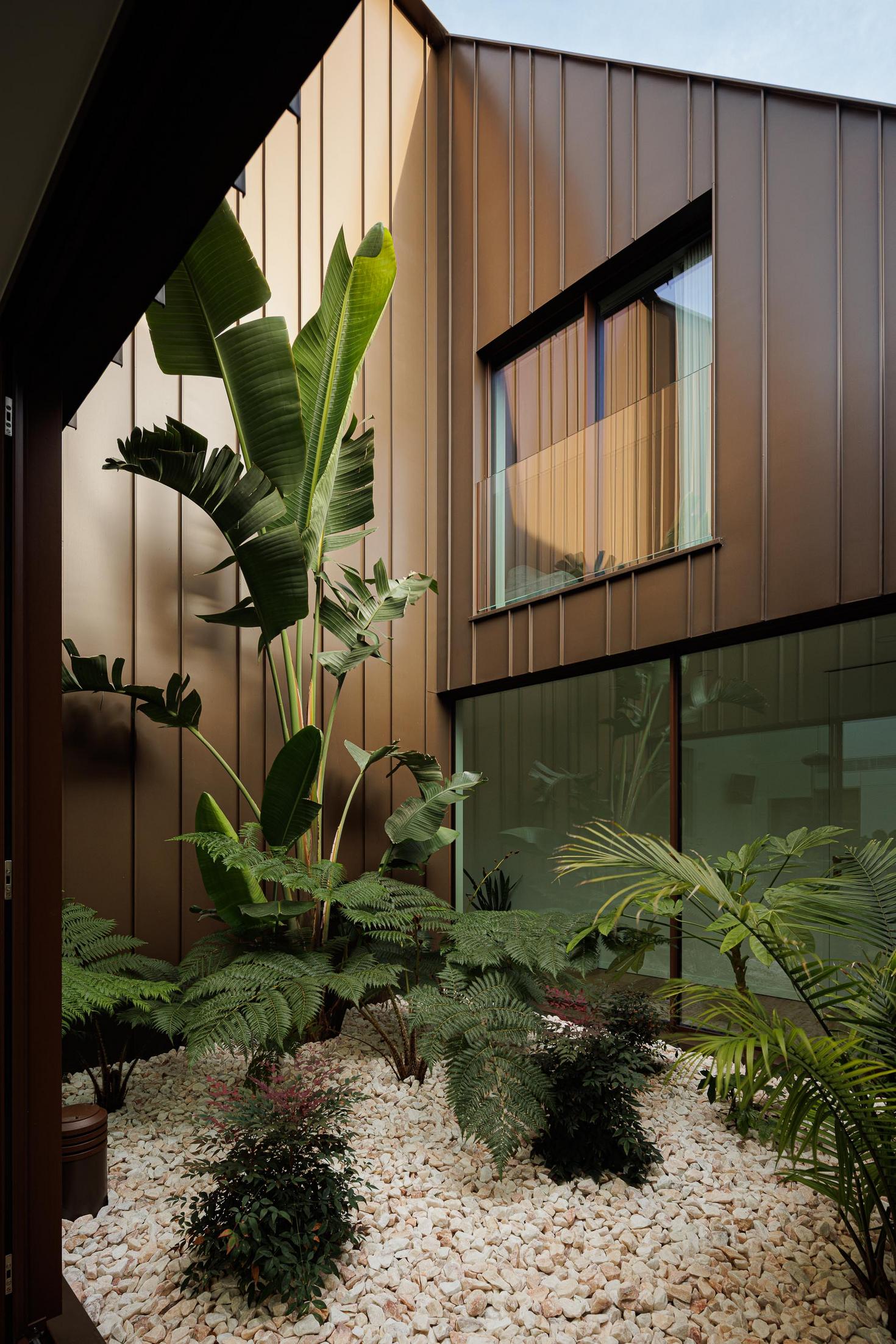 Pátio interior: Jardim interior com seixos brancos e vegetação tropical. — House SM arquitetura Mário Alves Arquitecto em Ílhavo